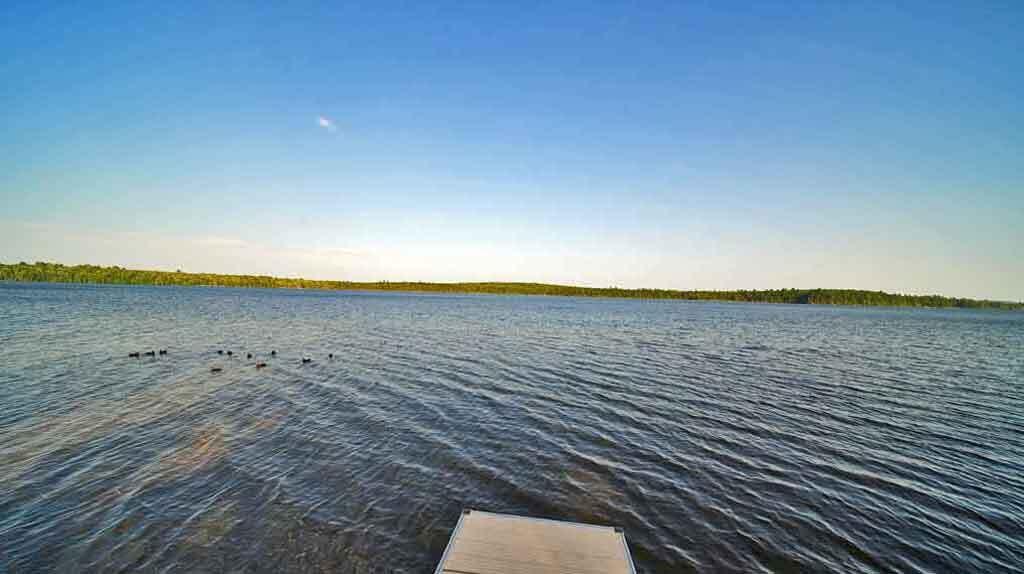 93 Brackett Drive Property Photo 31