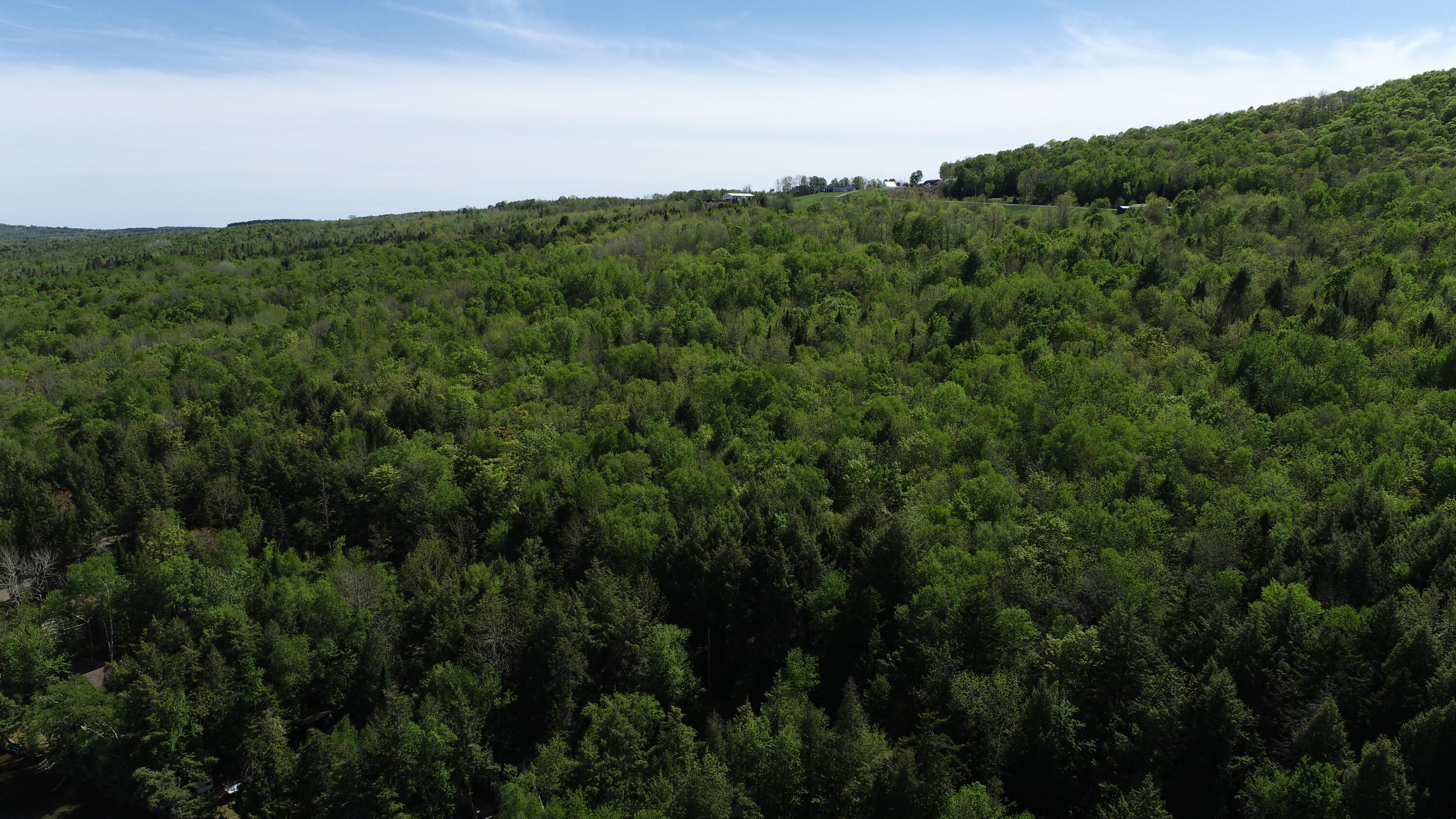 93 Brackett Drive Property Photo 60