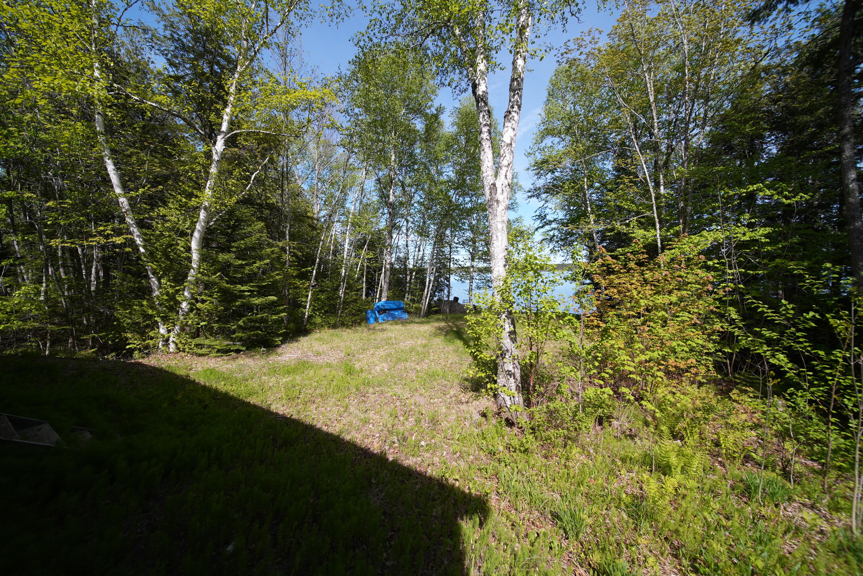 93 Brackett Drive Property Photo 62