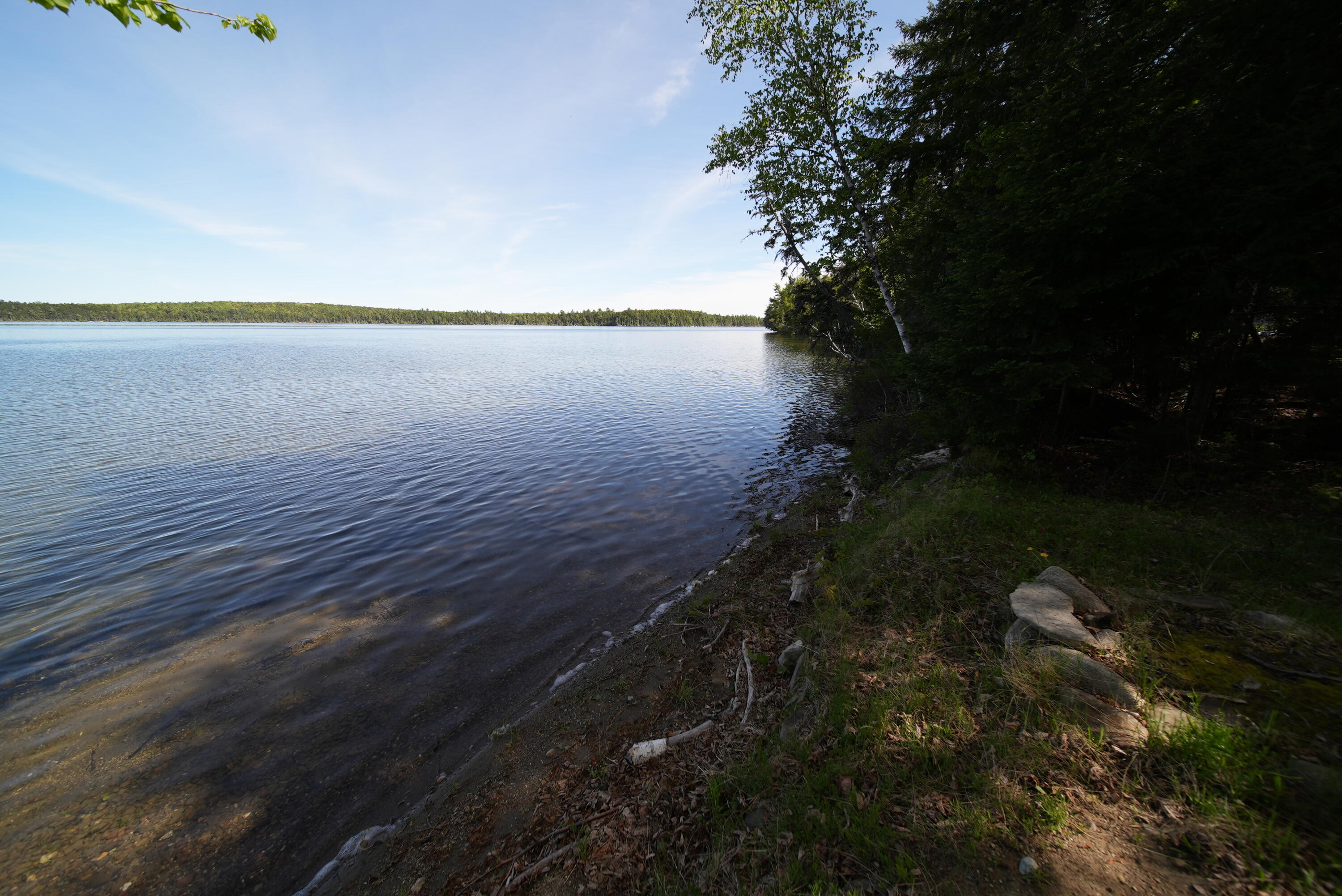 93 Brackett Drive Property Photo 63