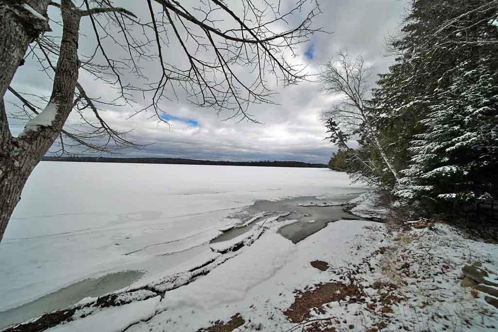 93 Brackett Drive Property Photo 81