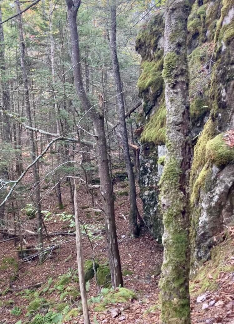 Map1 Lot57 West Side Of Main Road Property Photo 3