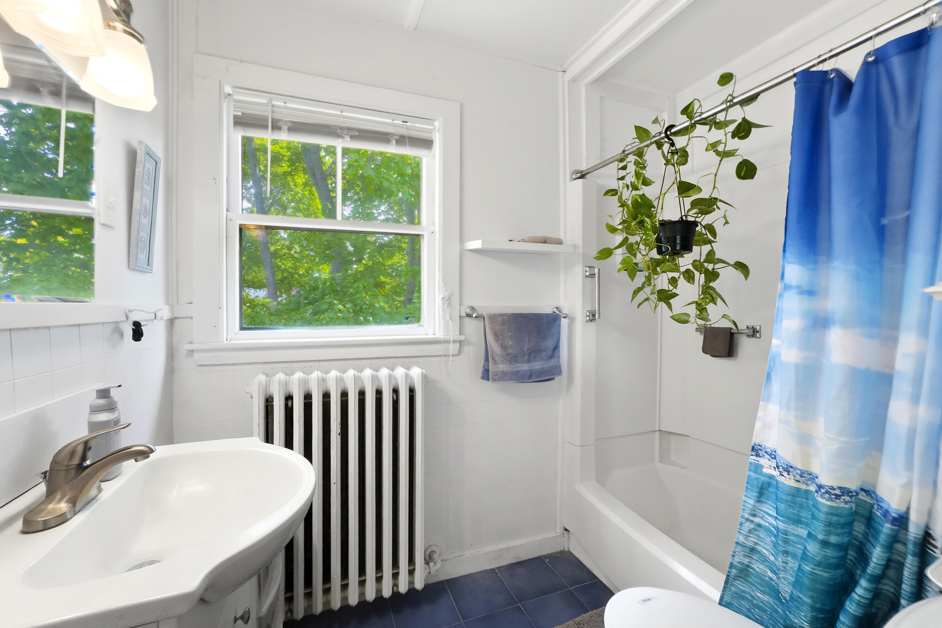 20 Chestnut Street Property Photo 36