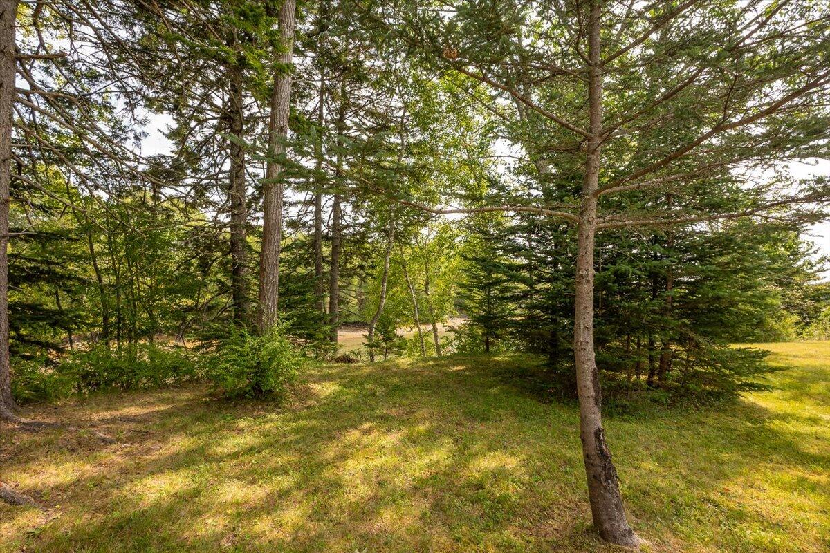 232 Mill Creek Road Property Photo 30