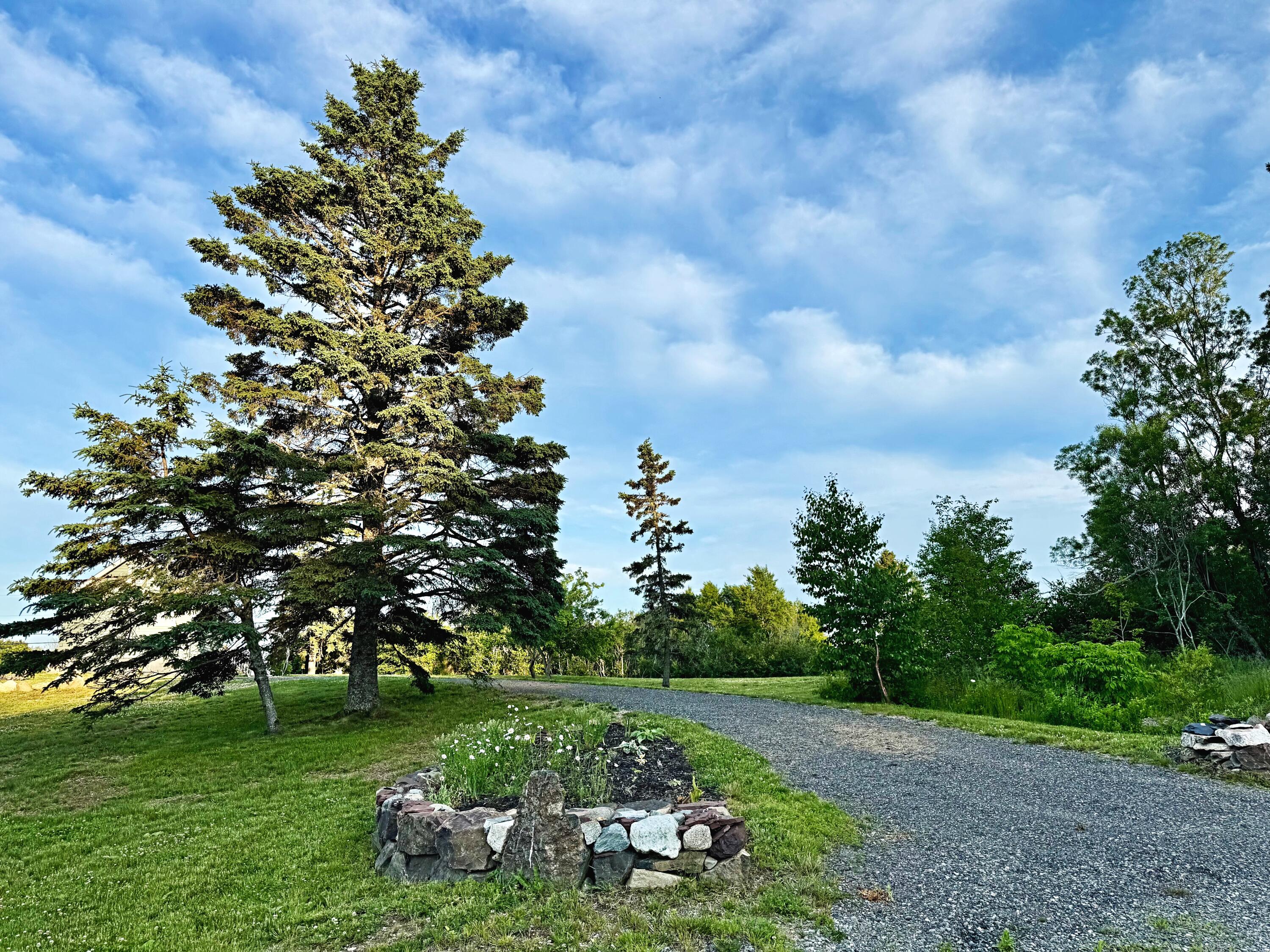 6 Cecelias Way Property Photo 44