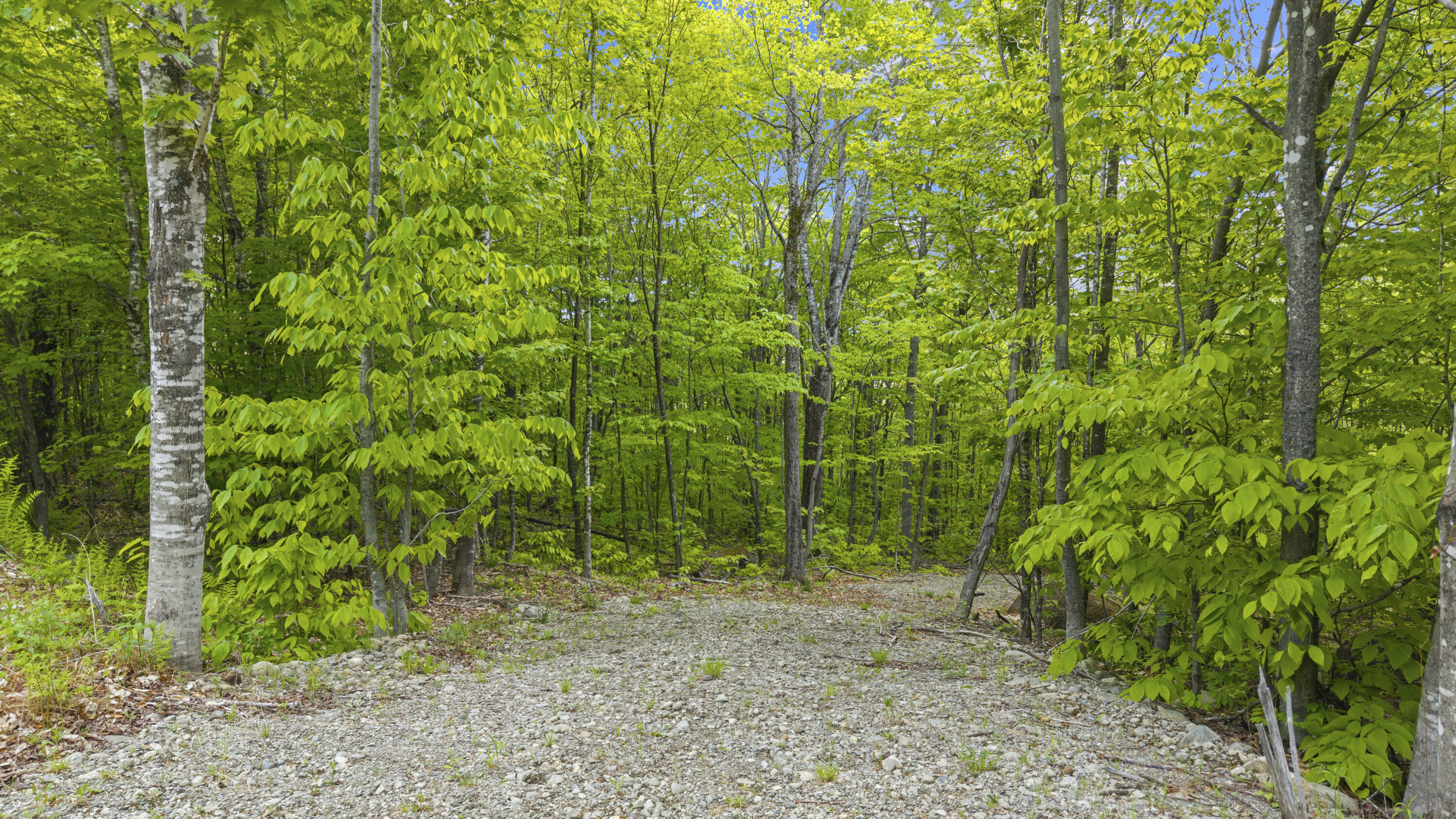Lot 01-63 Ira Mountain Road Property Photo 1