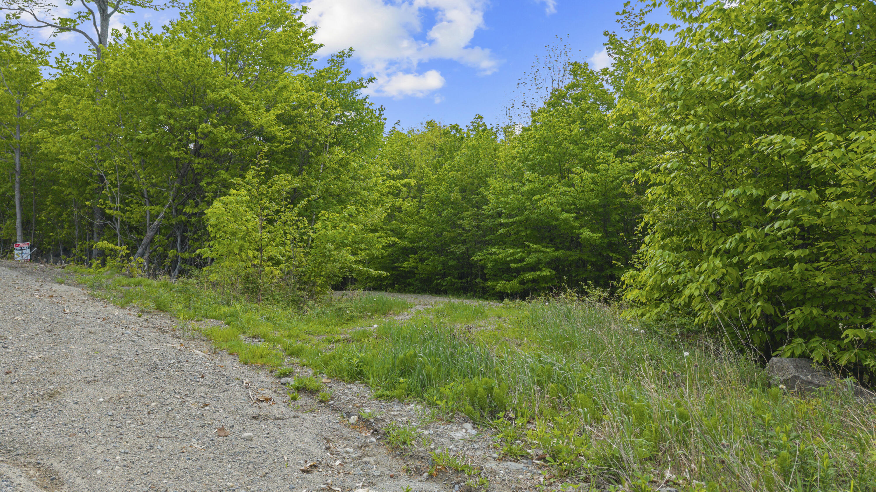 Lot 01-63 Ira Mountain Road Property Photo 2