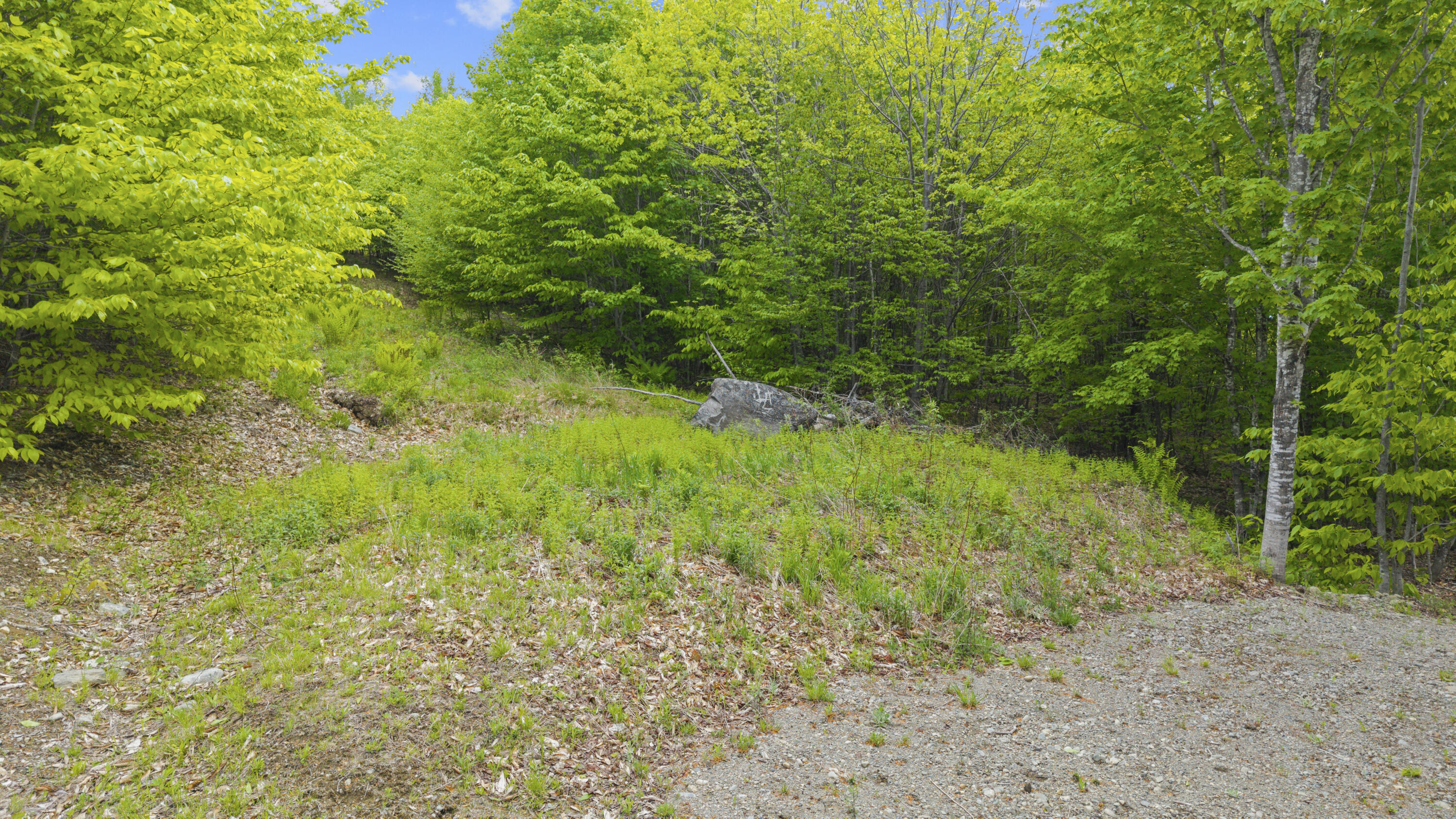 Lot 01-63 Ira Mountain Road Property Photo 7