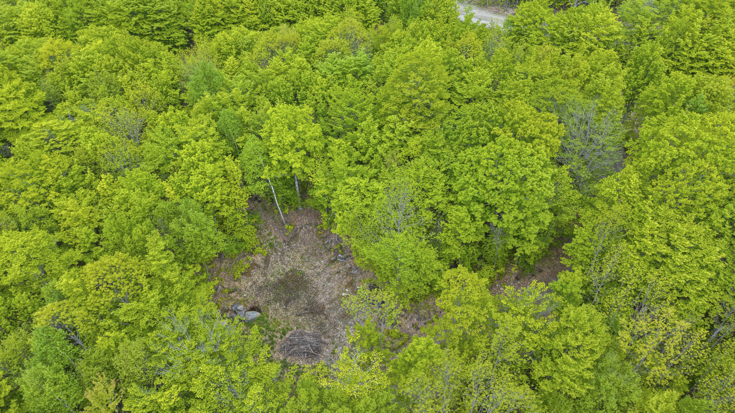 Lot 01-63 Ira Mountain Road Property Photo 9