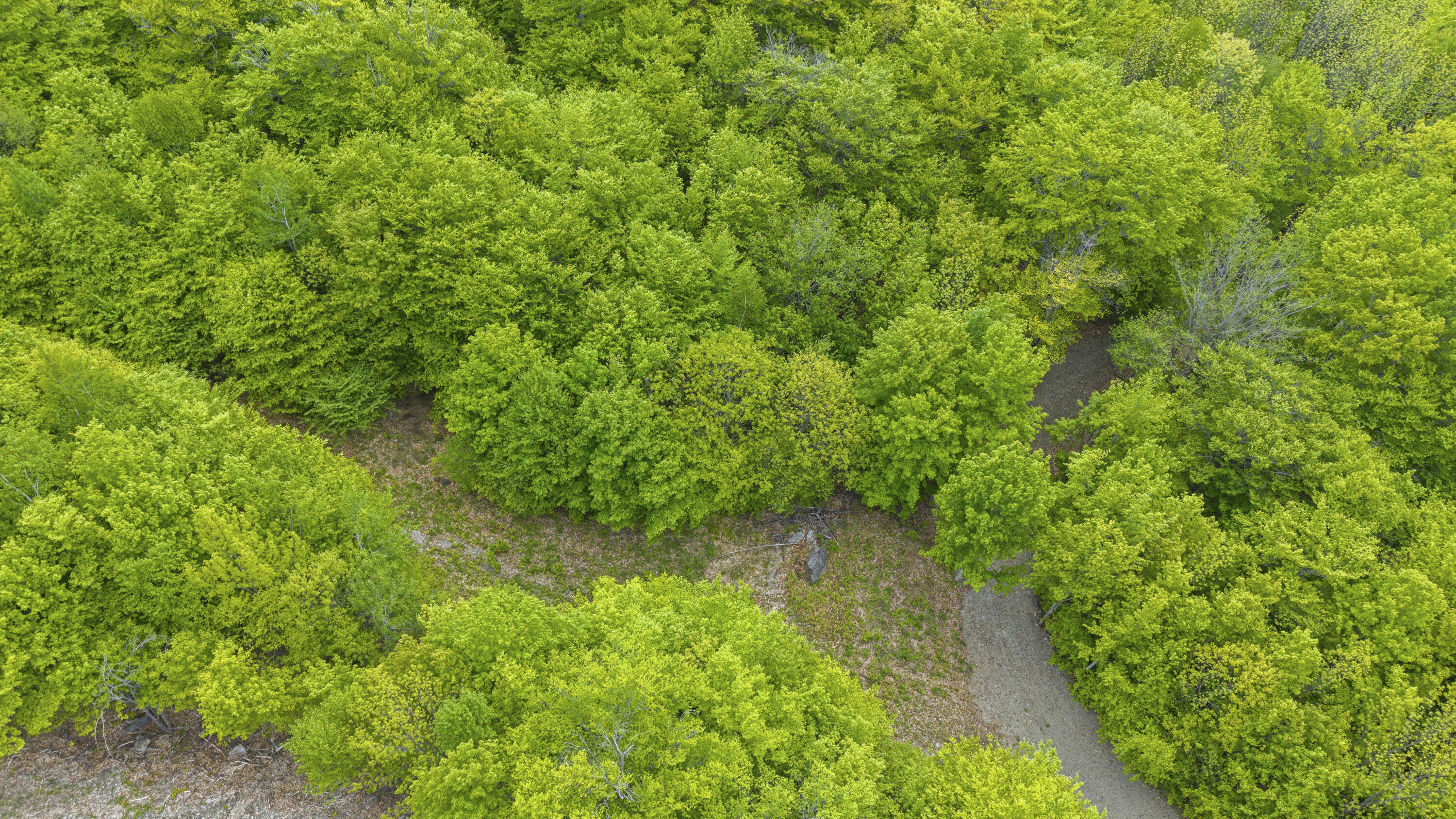 Lot 01-63 Ira Mountain Road Property Photo 10