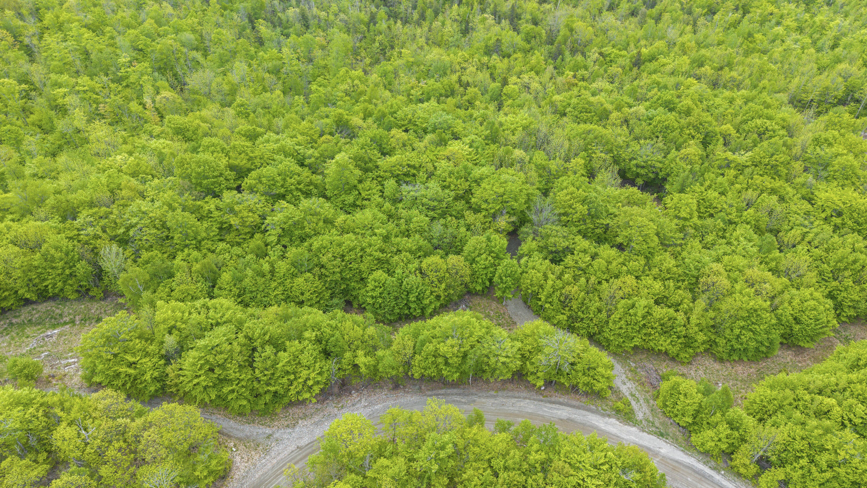 Lot 01-63 Ira Mountain Road Property Photo 11