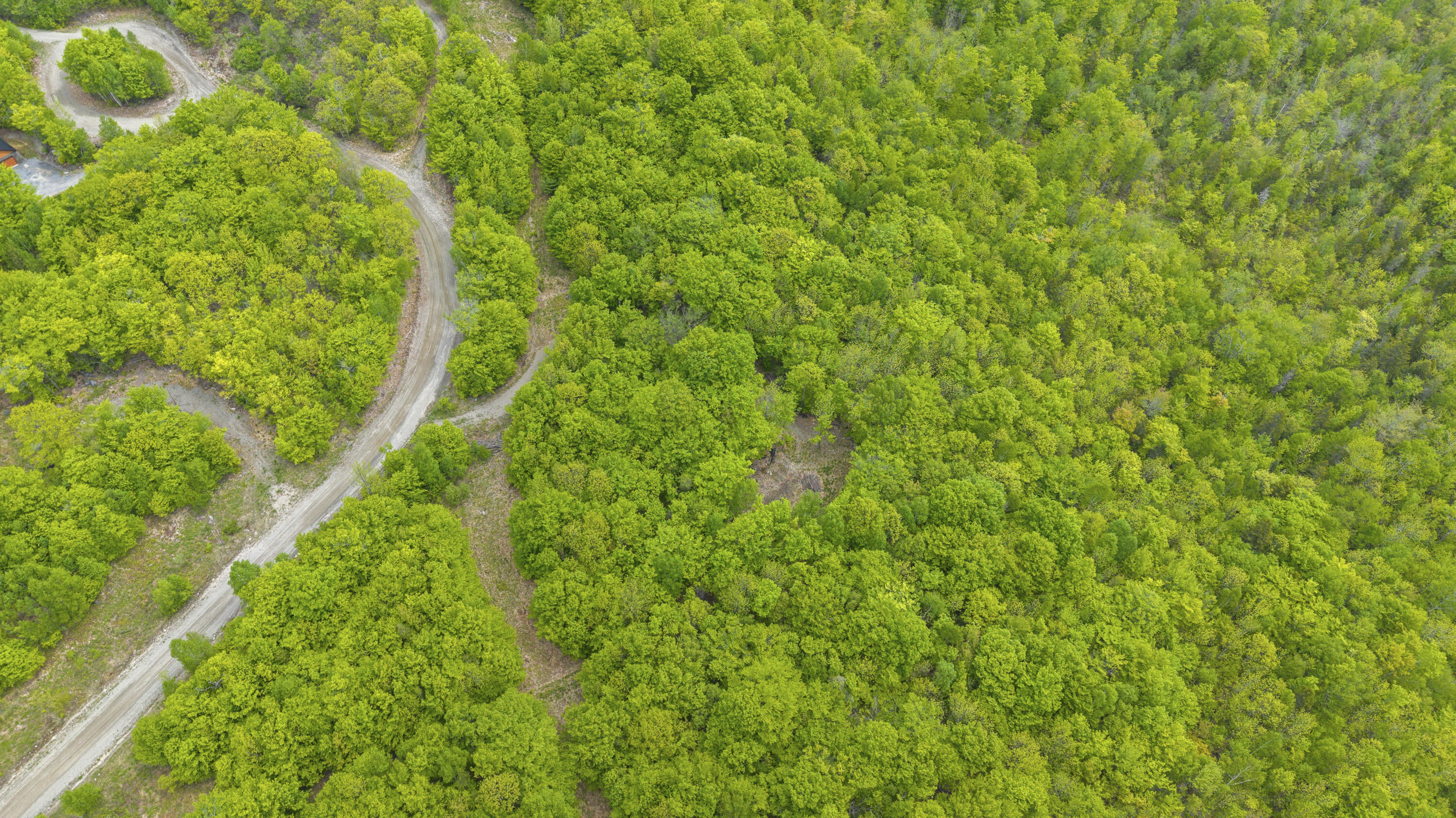 Lot 01-63 Ira Mountain Road Property Photo 12
