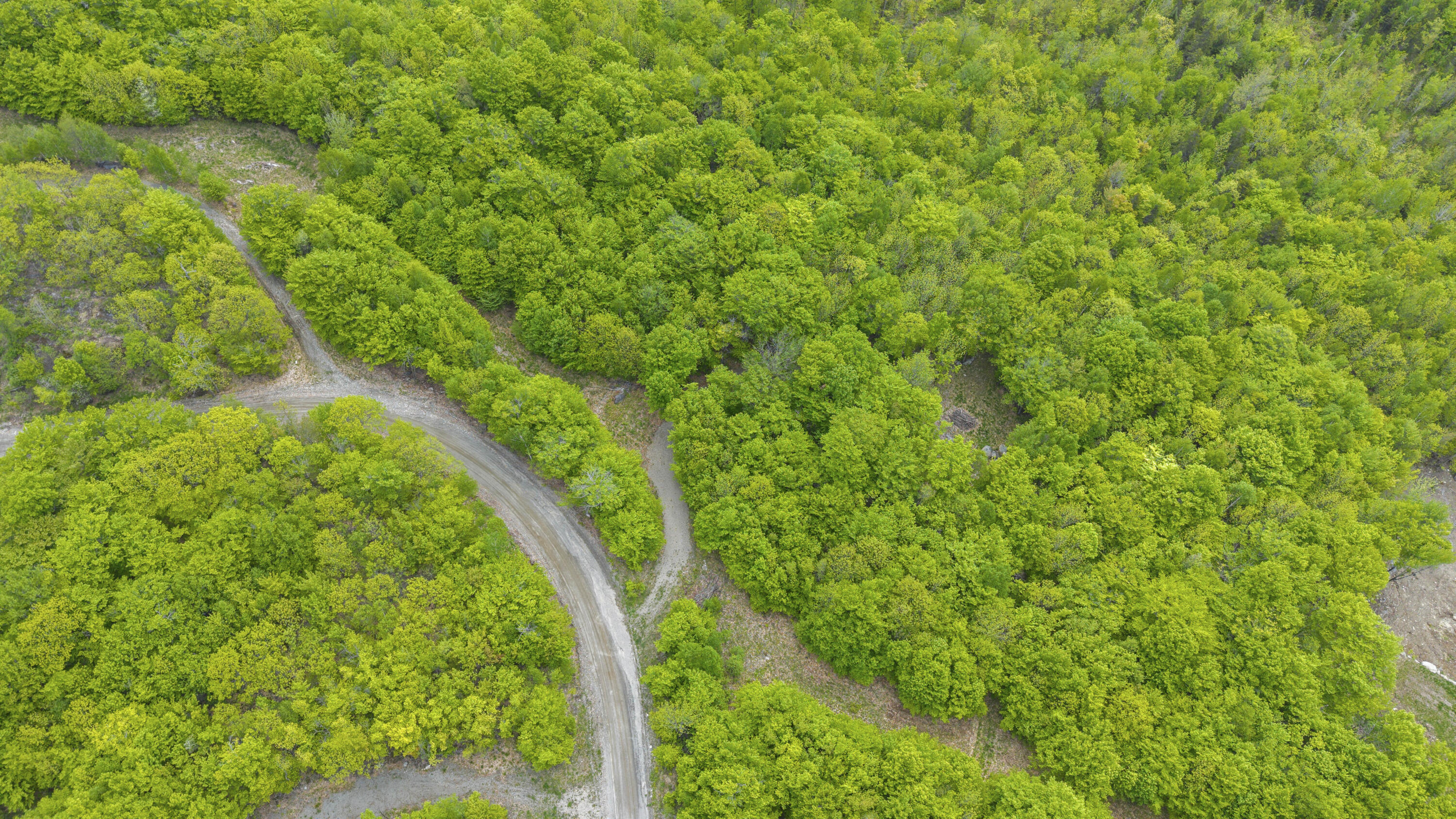 Lot 01-63 Ira Mountain Road Property Photo 13