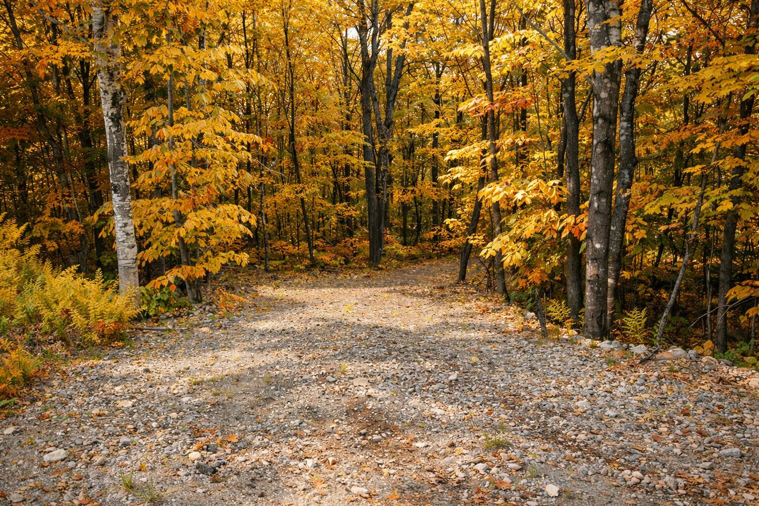 Lot 01-63 Ira Mountain Road Property Photo 17