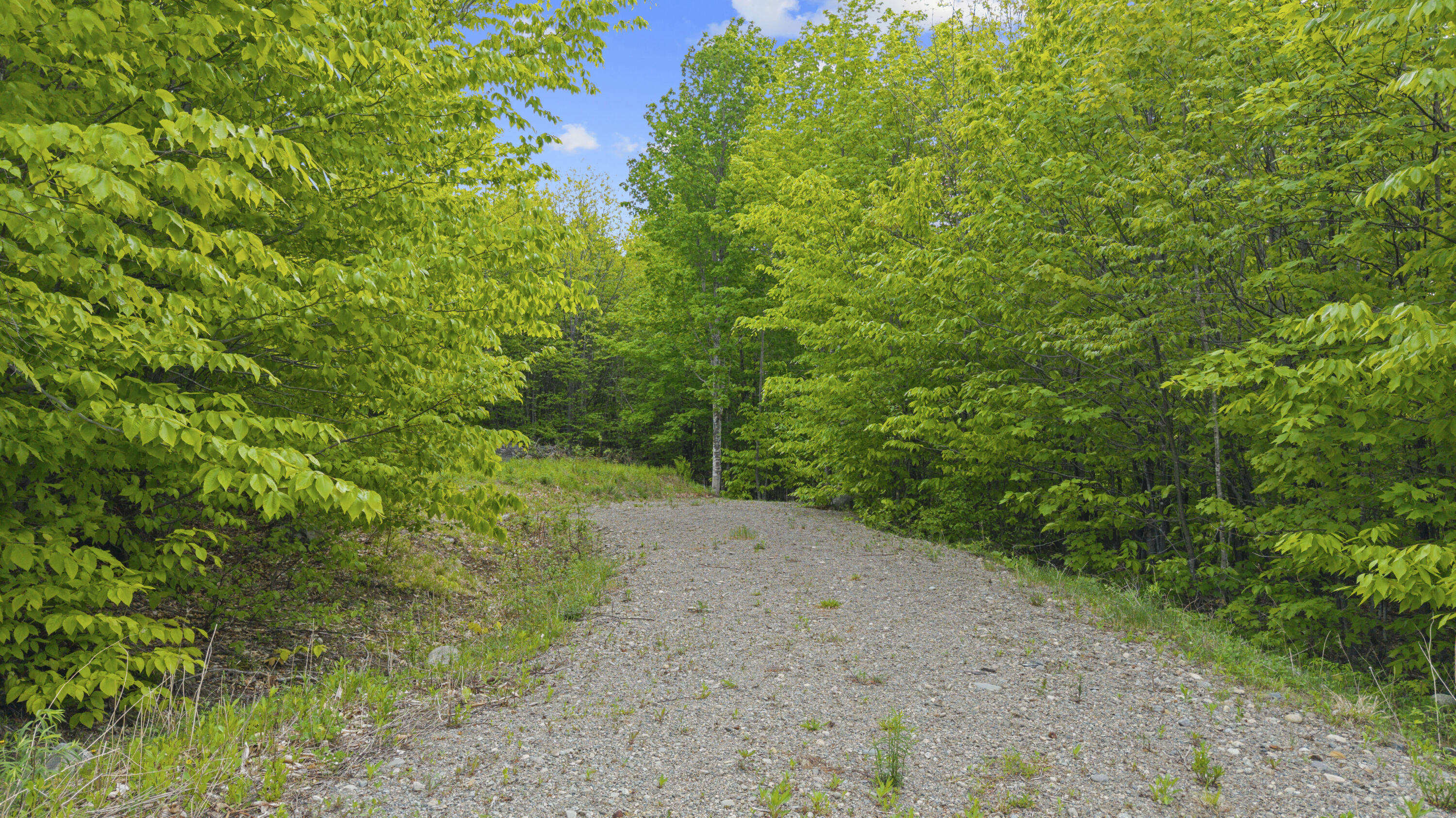 Lot 01-63 Ira Mountain Road Property Photo 23