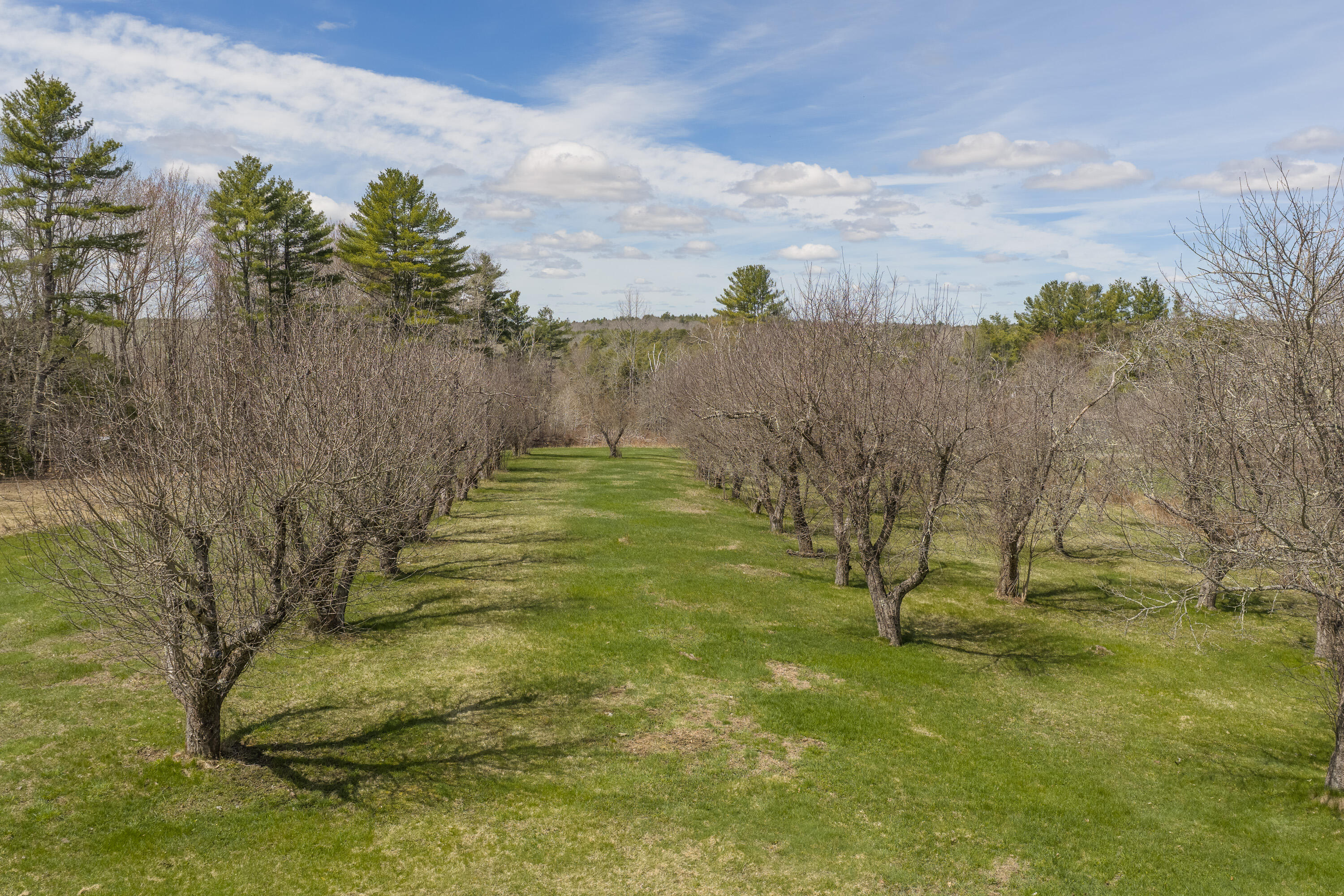 704 Gardiner Road Property Photo 15