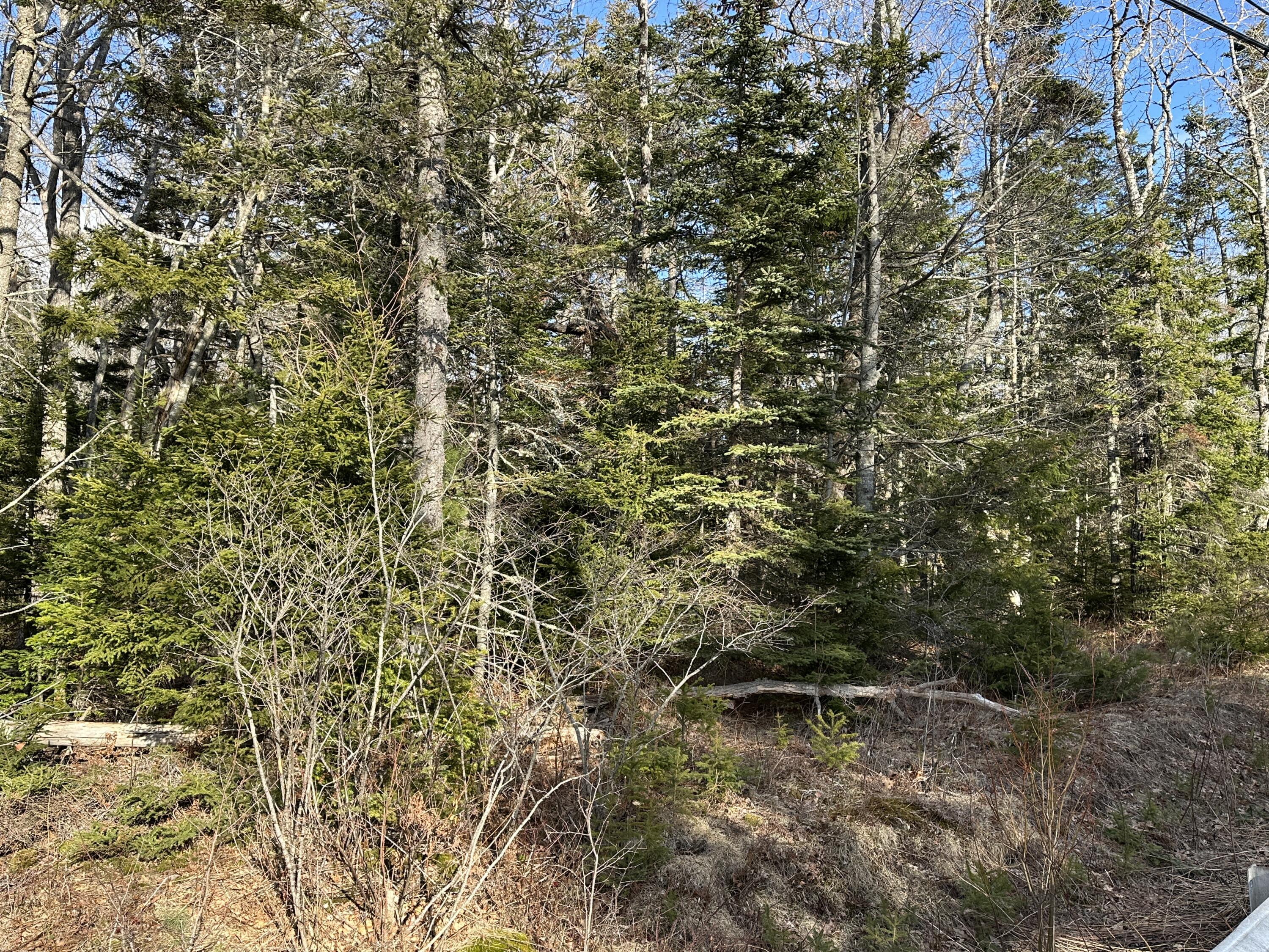 50 Cline Road Property Photo 19