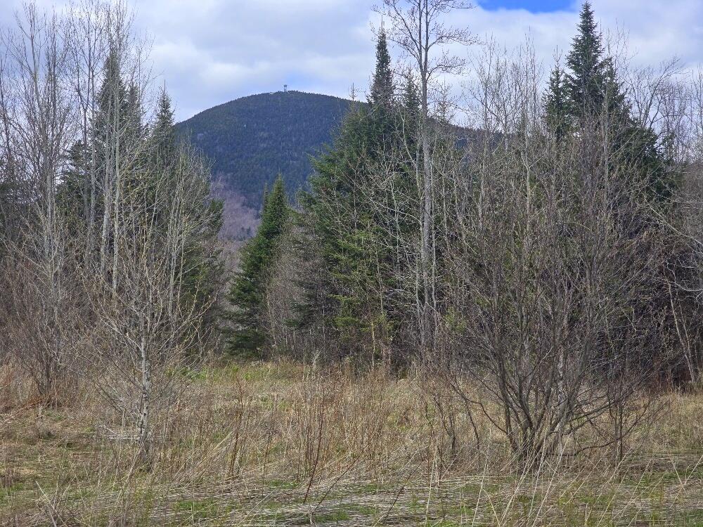36 Chimney Rock Road Property Photo 1