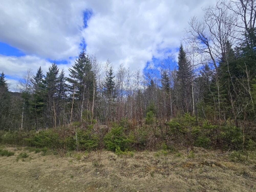 36 Chimney Rock Road Property Photo 4