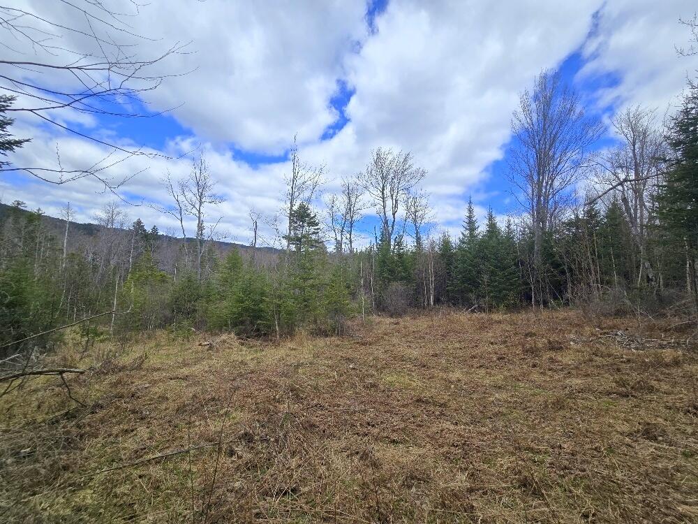36 Chimney Rock Road Property Photo 5