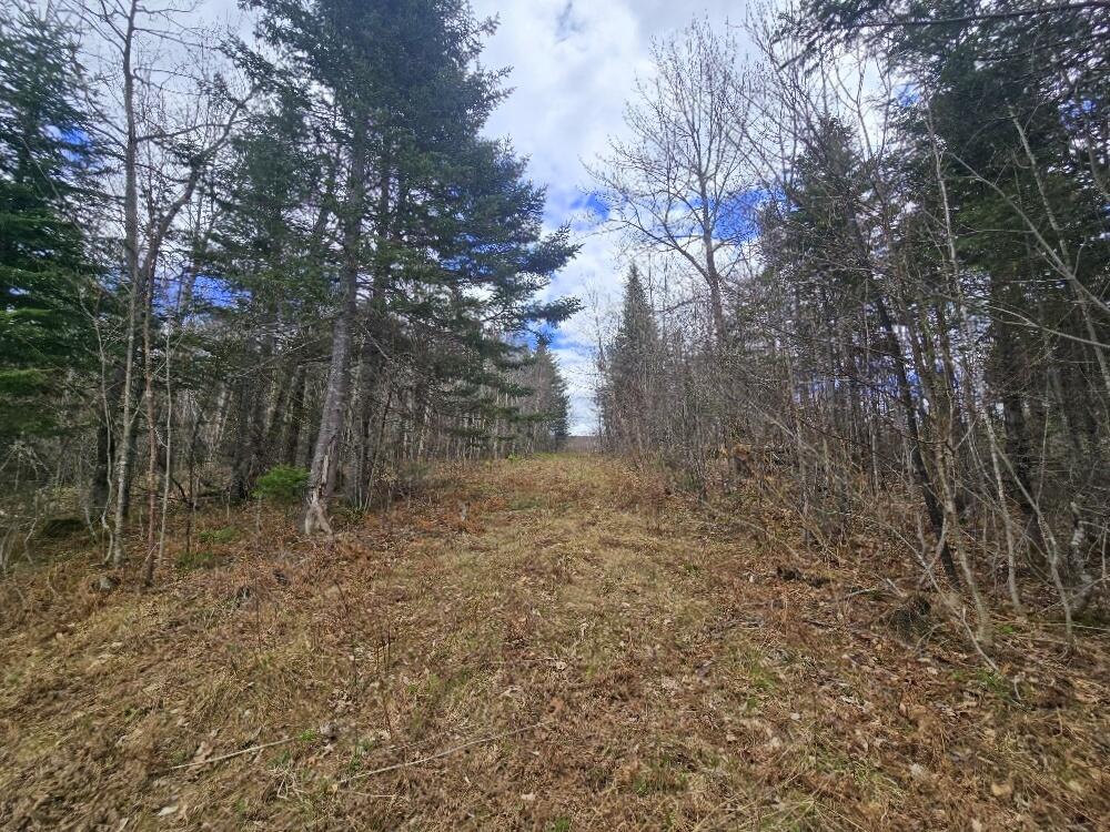 36 Chimney Rock Road Property Photo 6