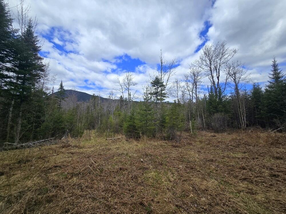 36 Chimney Rock Road Property Photo 7
