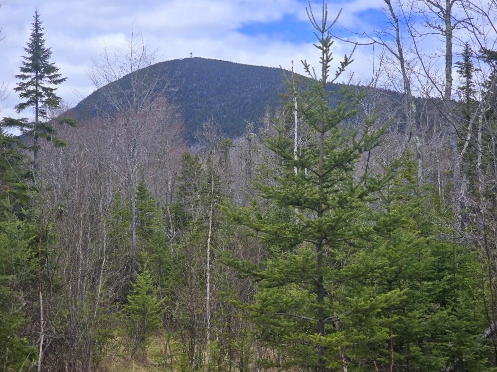 36 Chimney Rock Road Property Photo 8