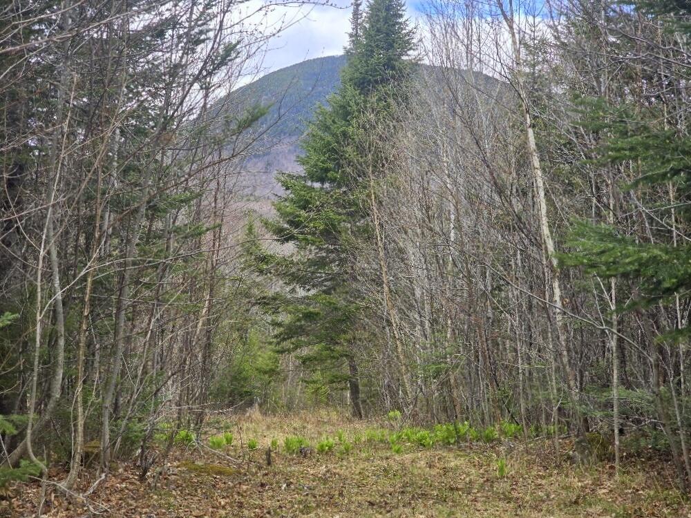 36 Chimney Rock Road Property Photo 9