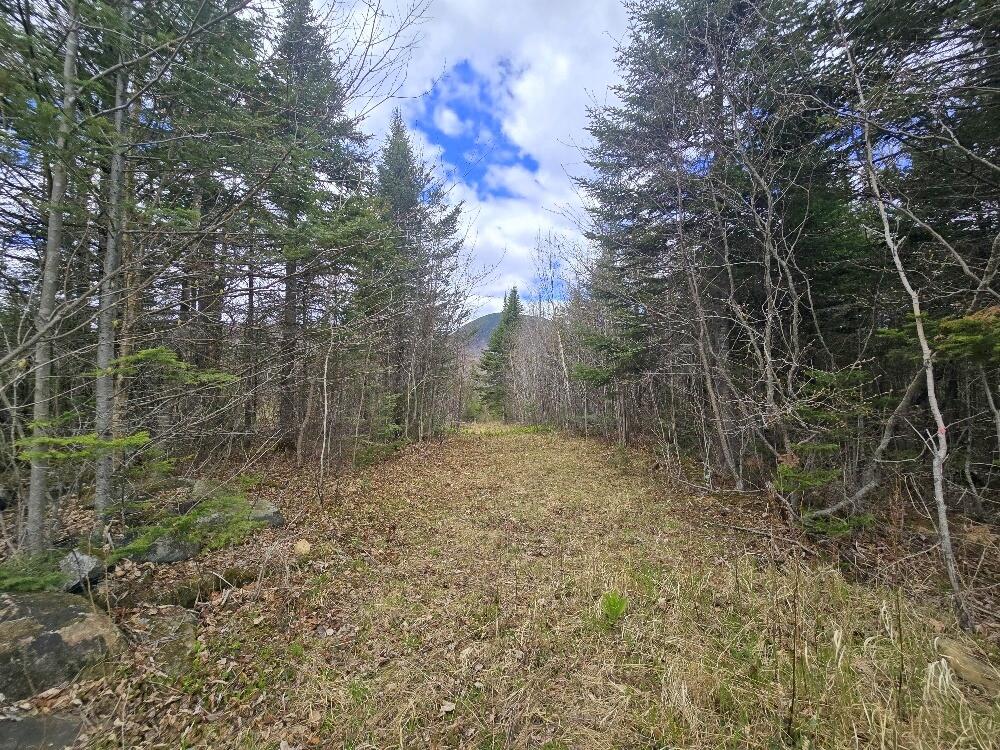 36 Chimney Rock Road Property Photo 10