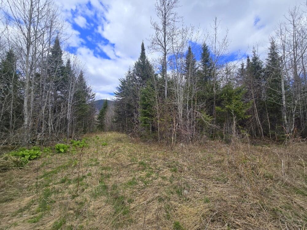36 Chimney Rock Road Property Photo 12