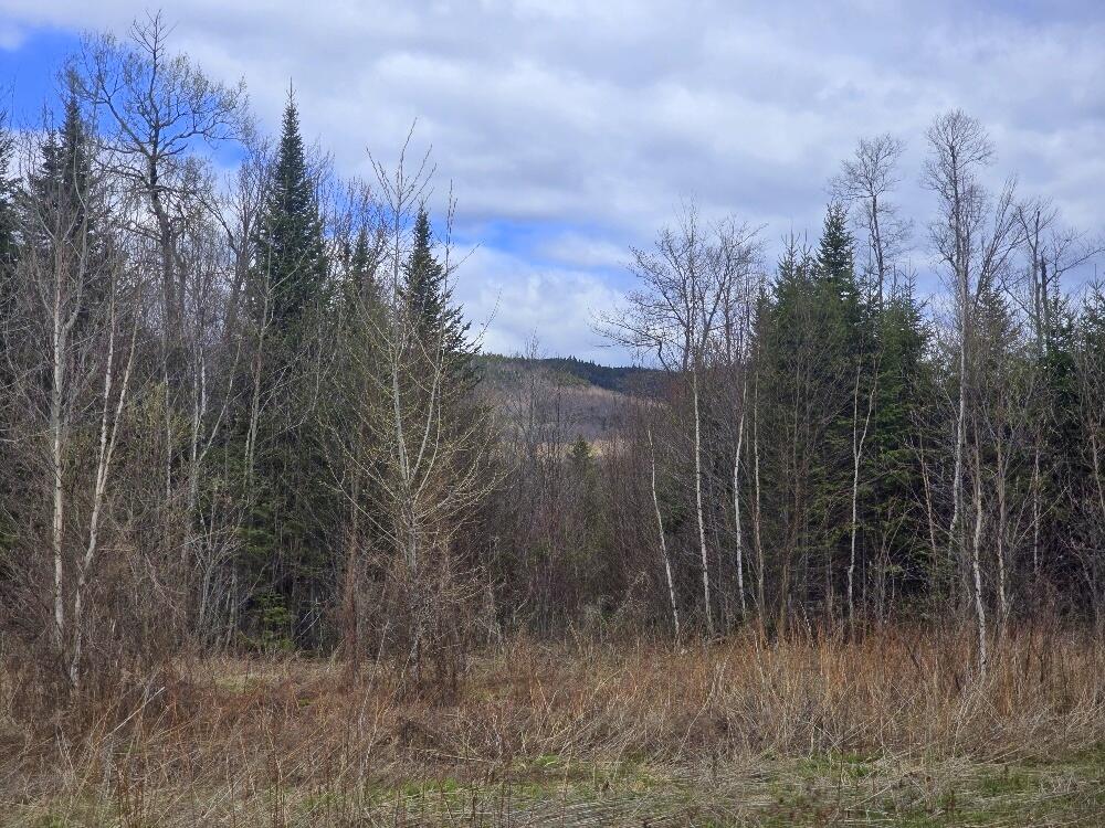 36 Chimney Rock Road Property Photo 15