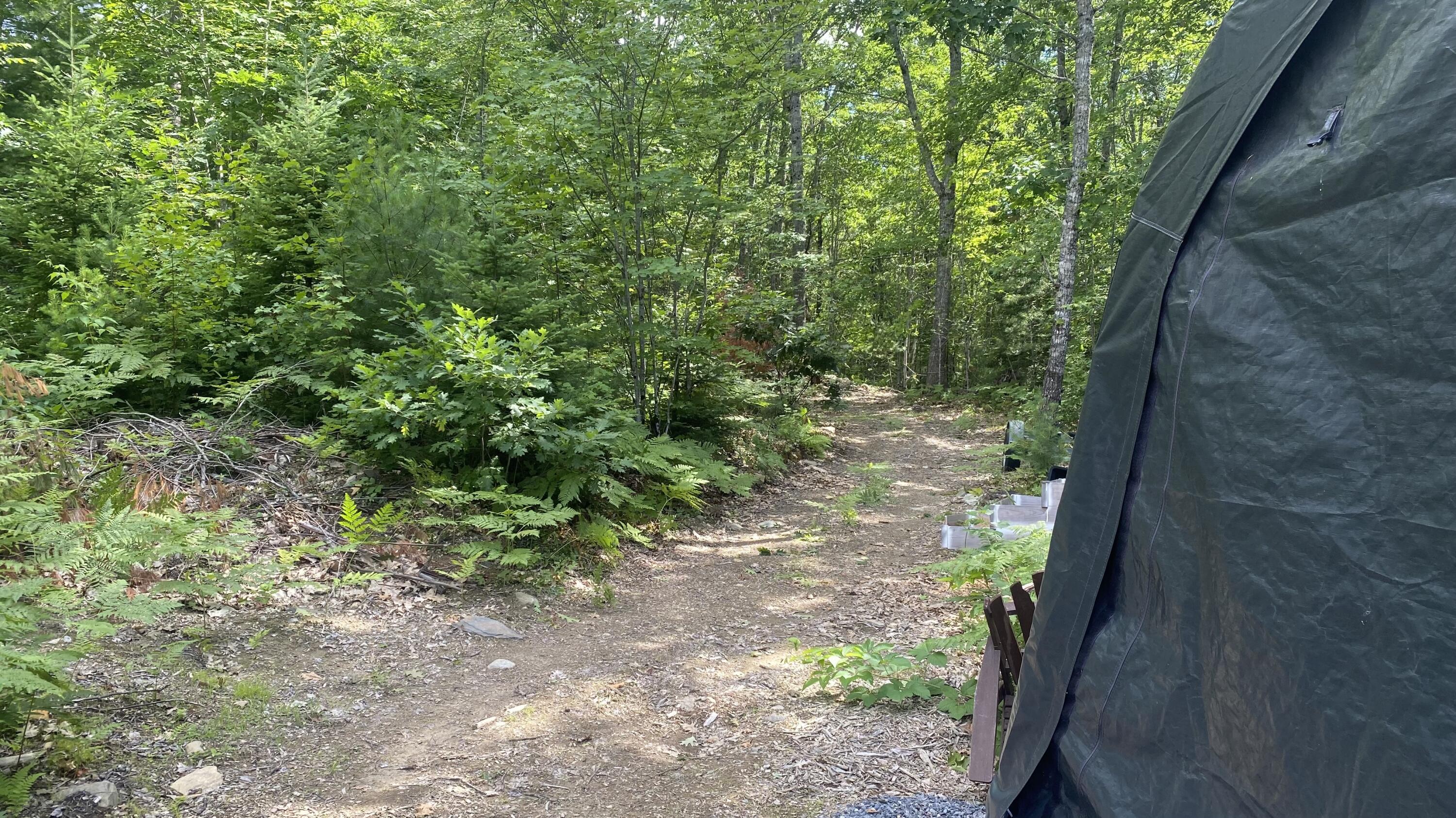 26 Bushey Shore Property Photo 8