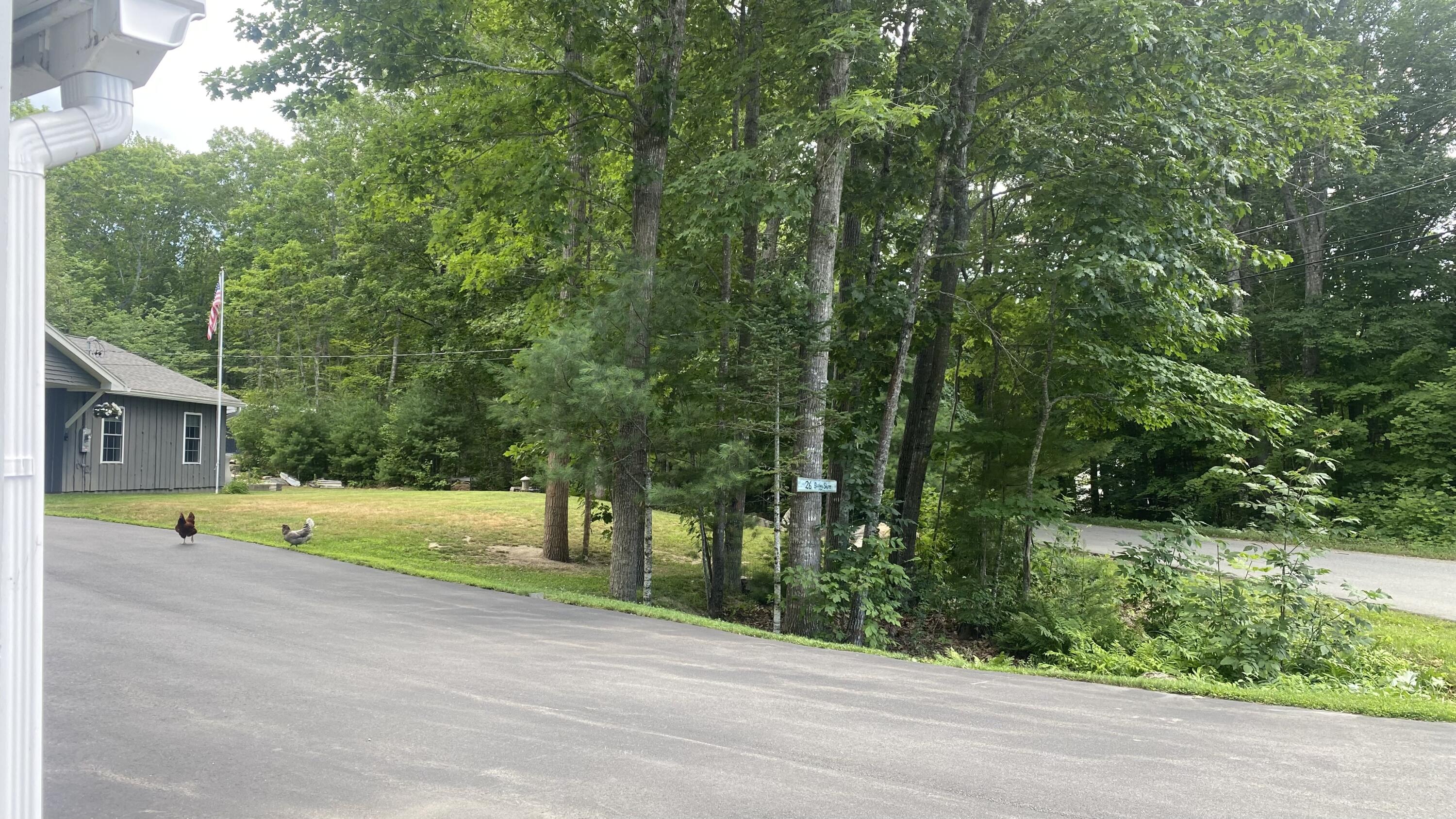 26 Bushey Shore Property Photo 11