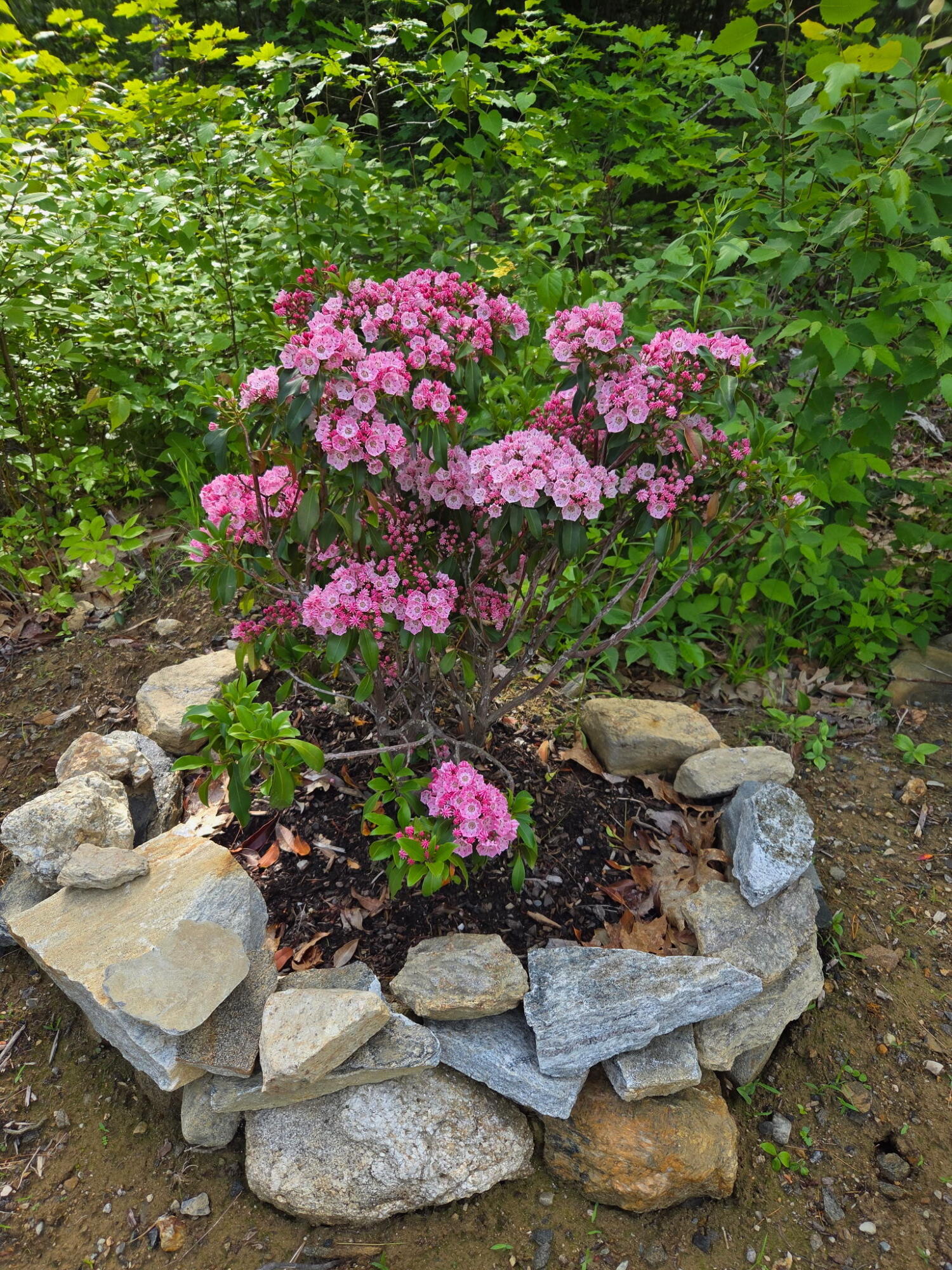 26 Bushey Shore Property Photo 13