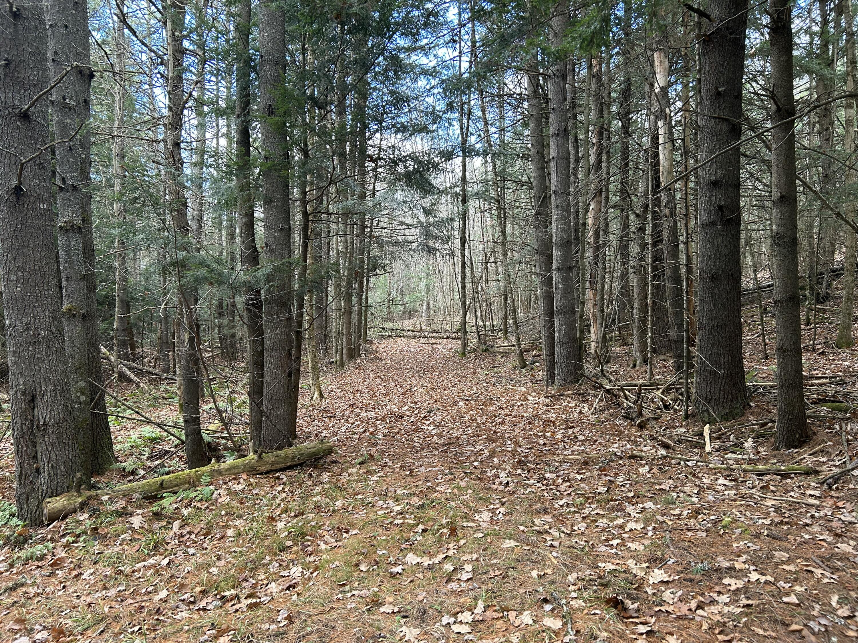 0 Stream View Drive Property Photo 1