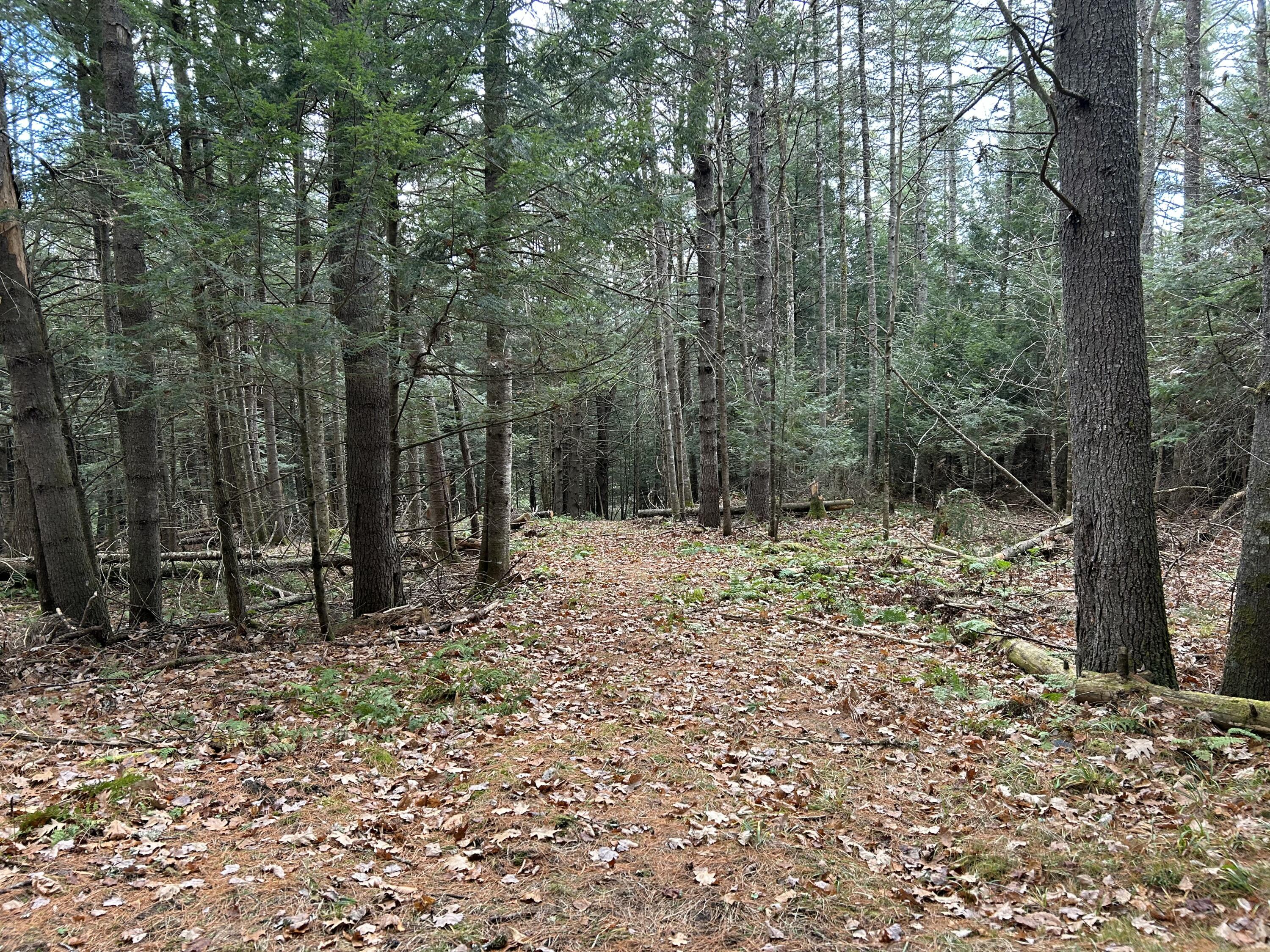 0 Stream View Drive Property Photo 2