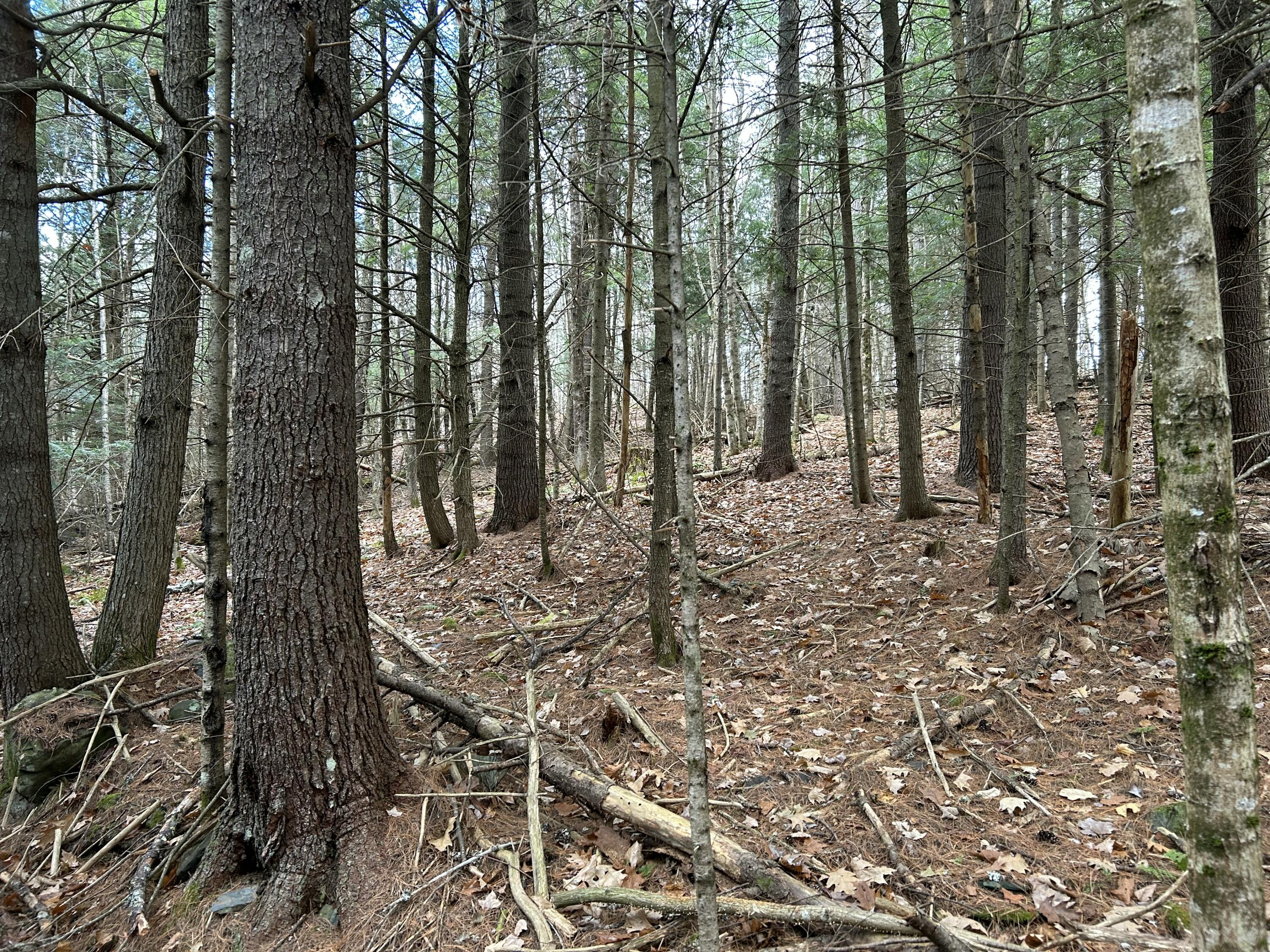 0 Stream View Drive Property Photo 4