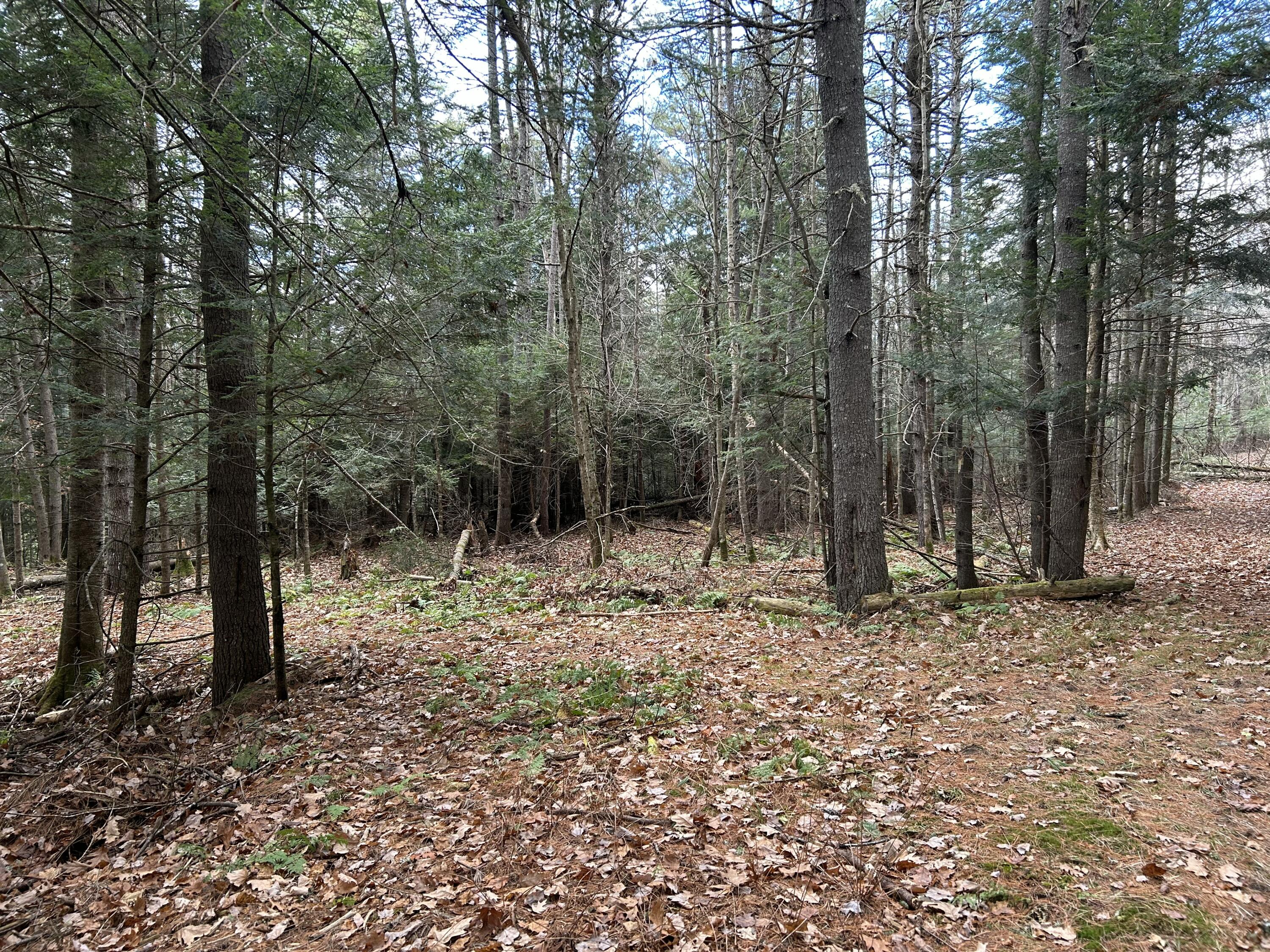 0 Stream View Drive Property Photo 6