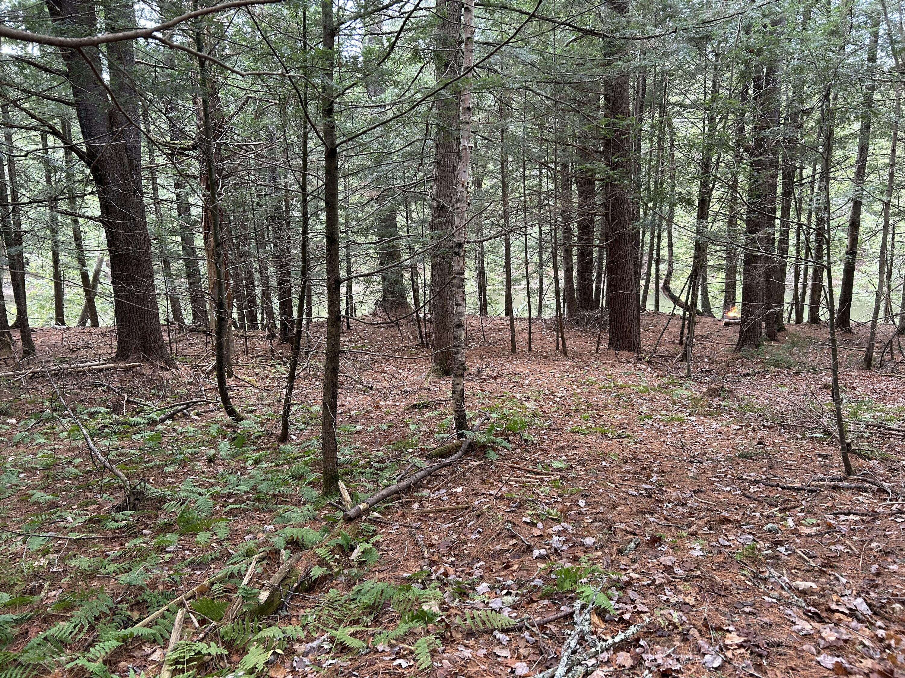 0 Stream View Drive Property Photo 7