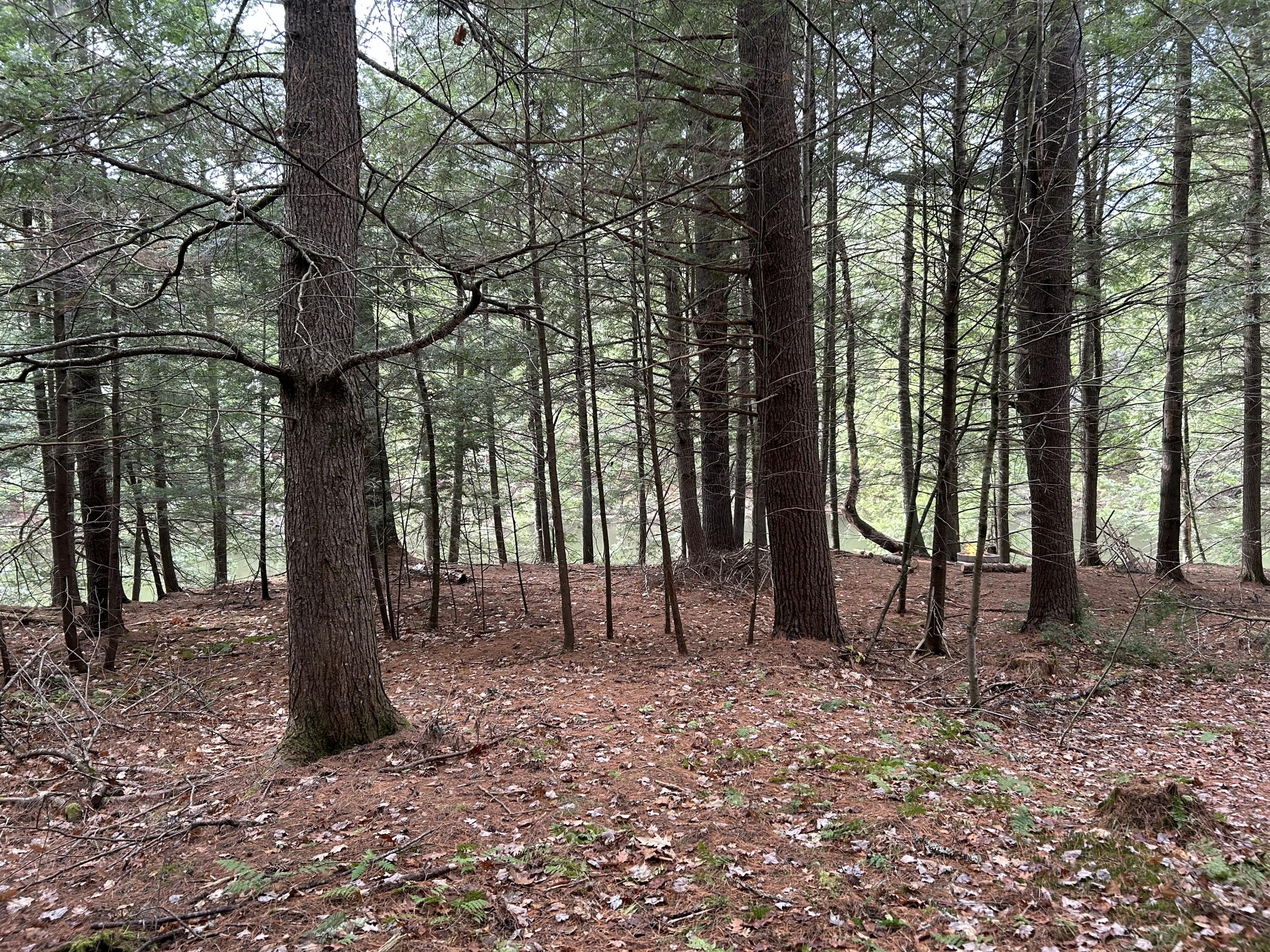 0 Stream View Drive Property Photo 8