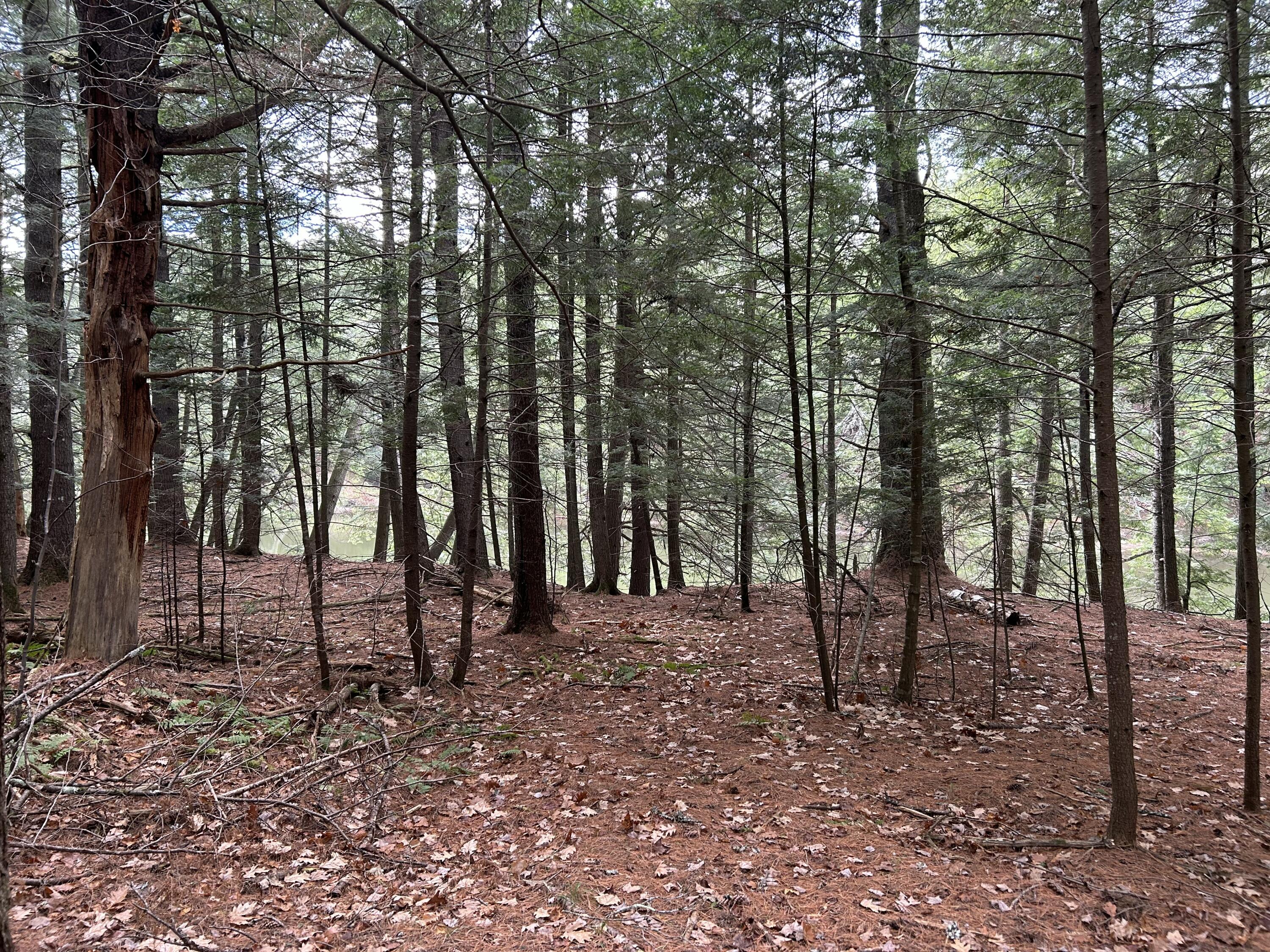 0 Stream View Drive Property Photo 9