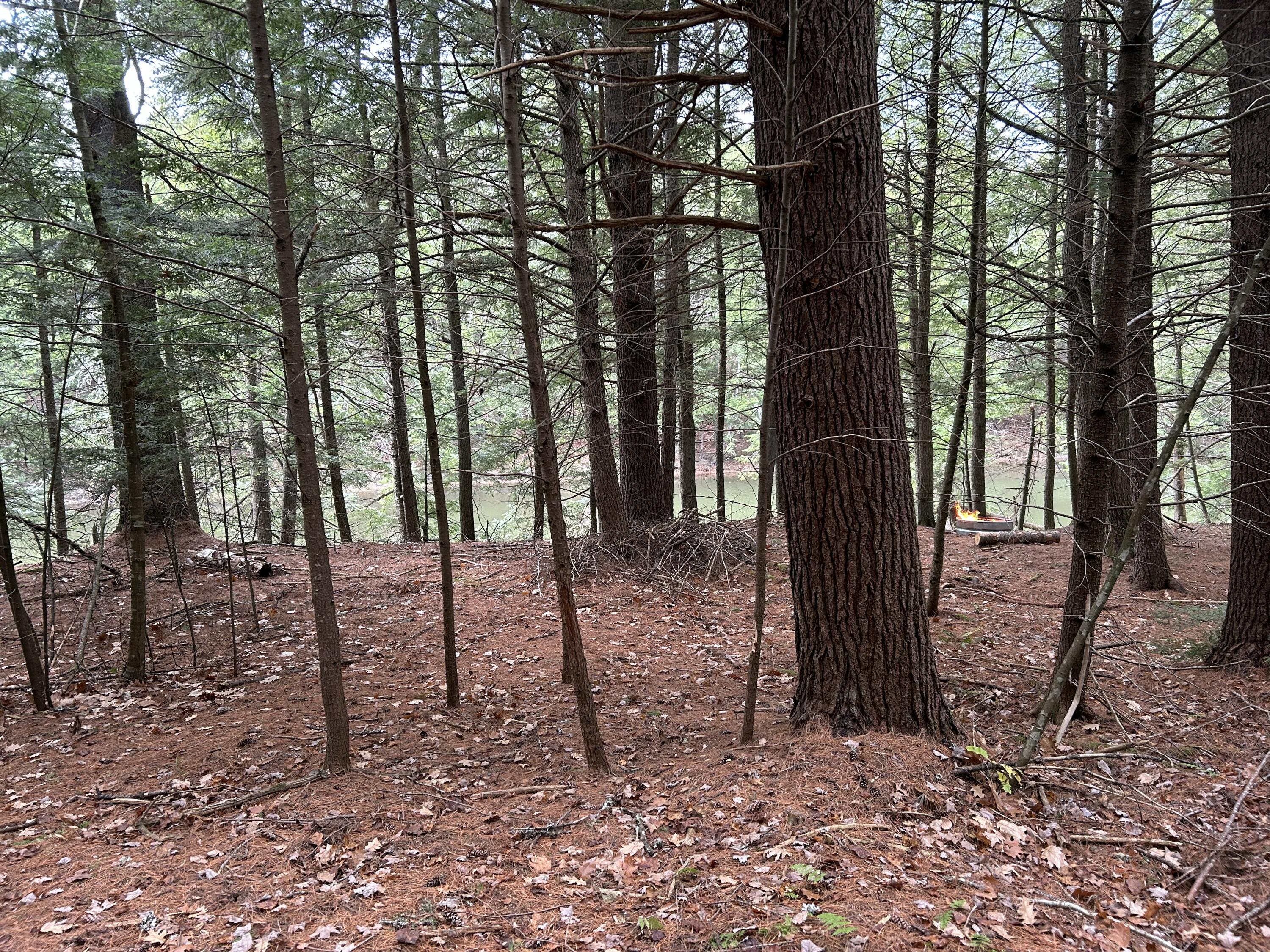 0 Stream View Drive Property Photo 10