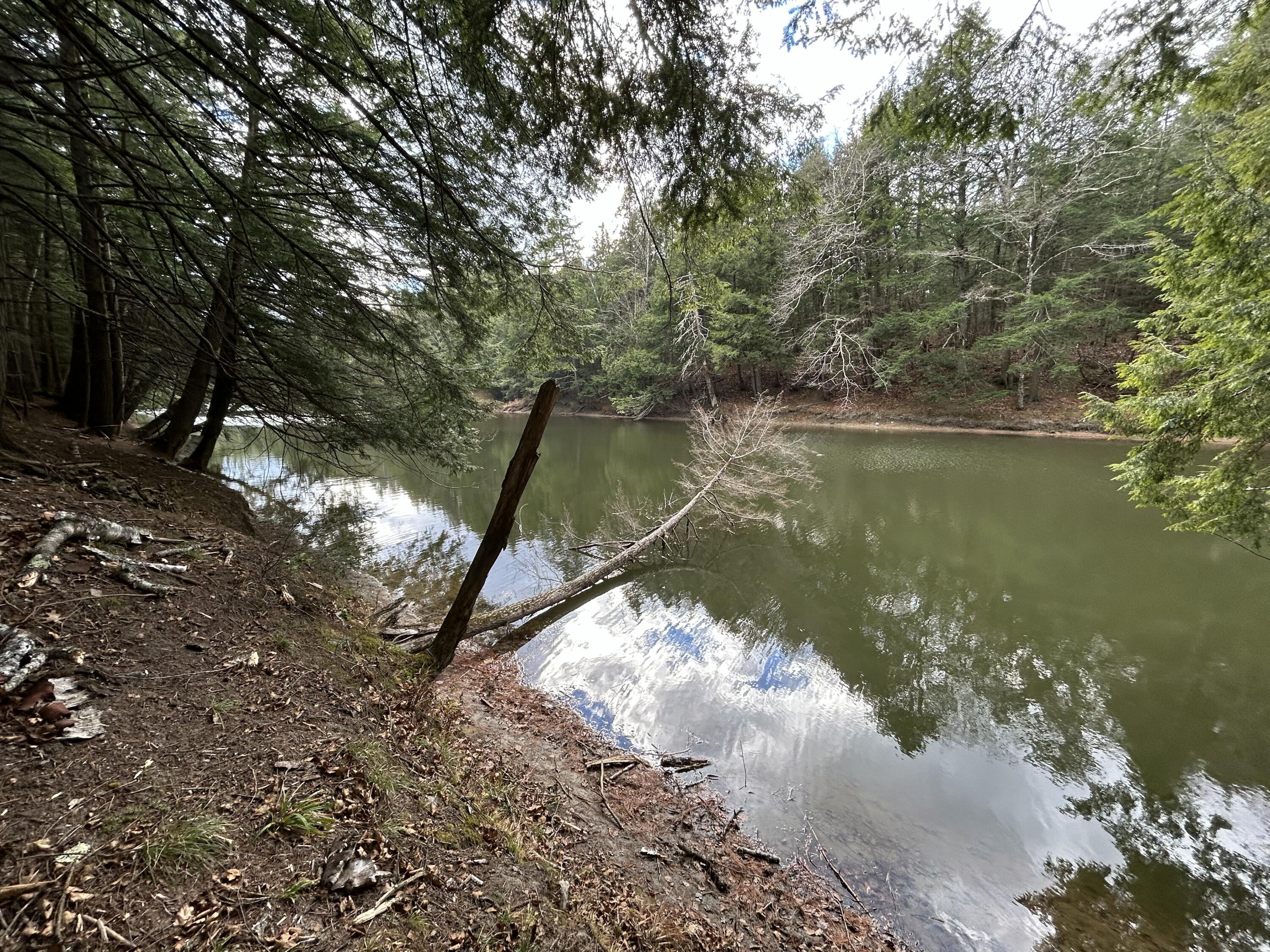 0 Stream View Drive Property Photo 13
