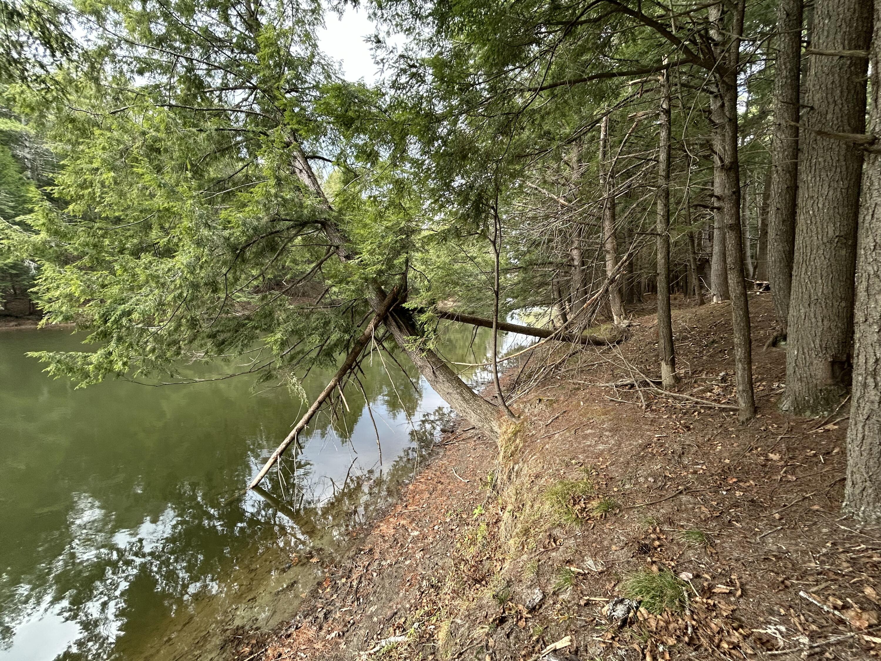 0 Stream View Drive Property Photo 14