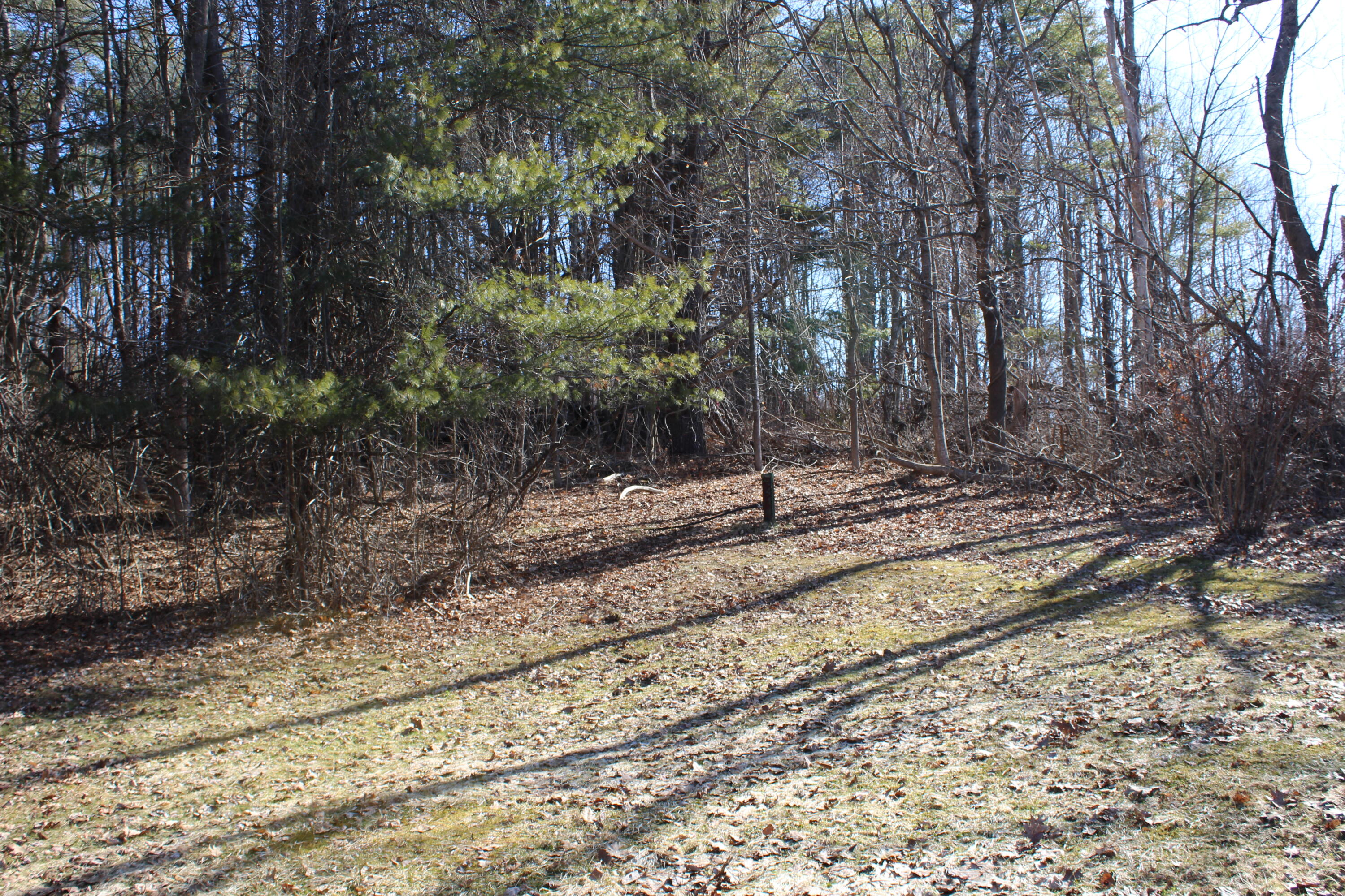 247 S Belfast Avenue Property Photo 13
