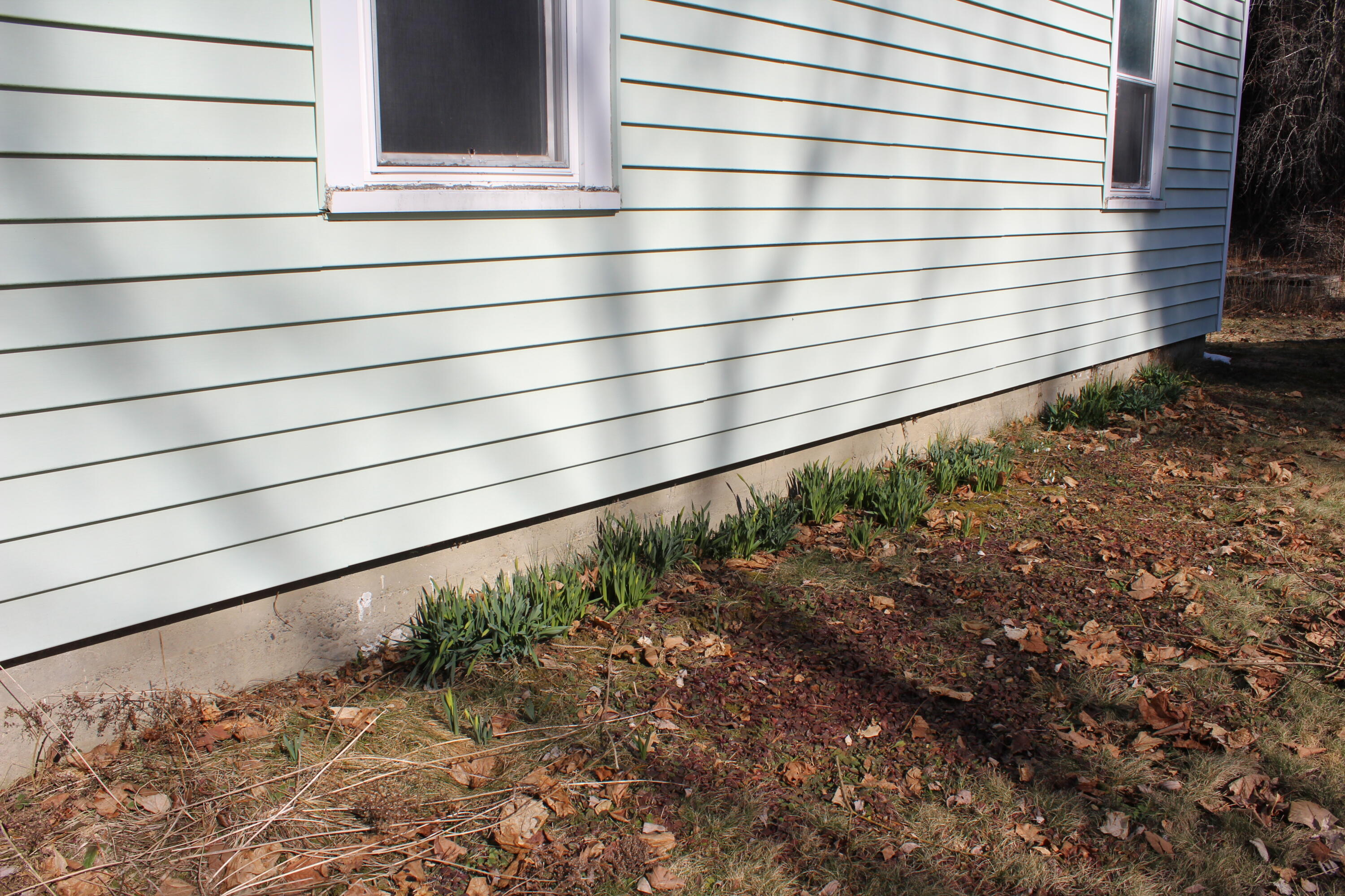247 S Belfast Avenue Property Photo 16