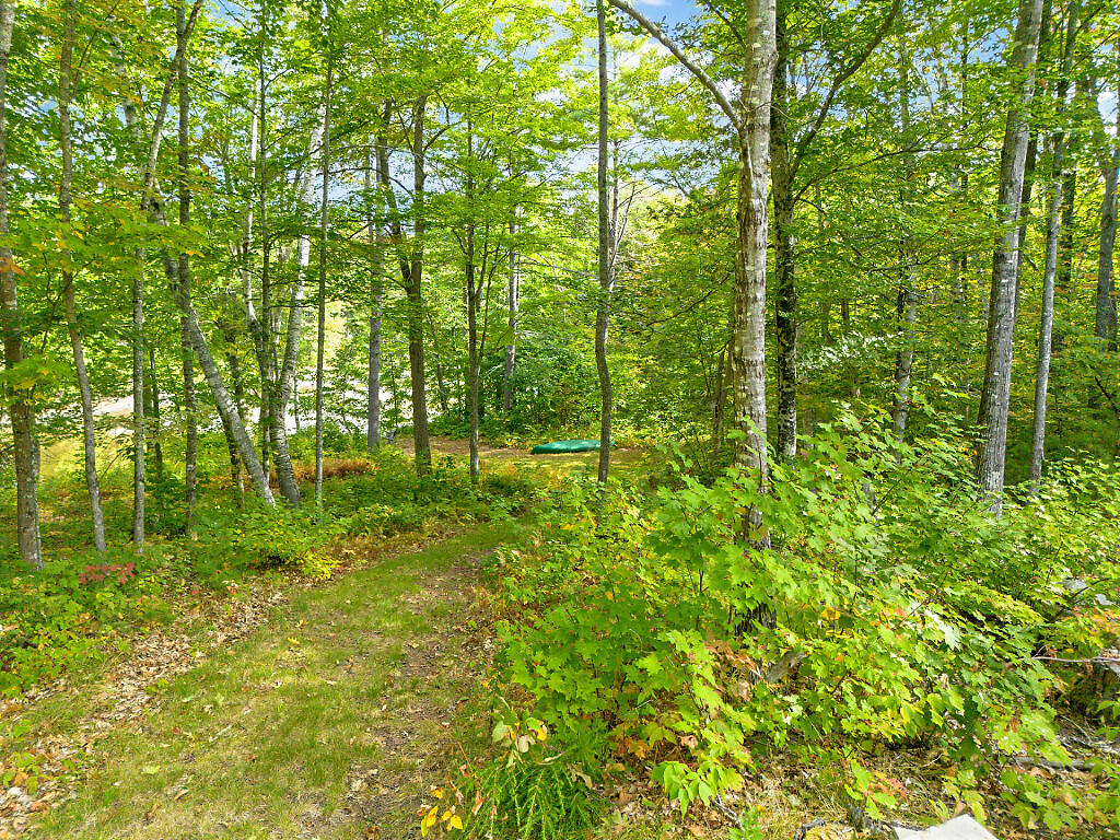 167 ''camp'' Town Farm Road Property Photo 28