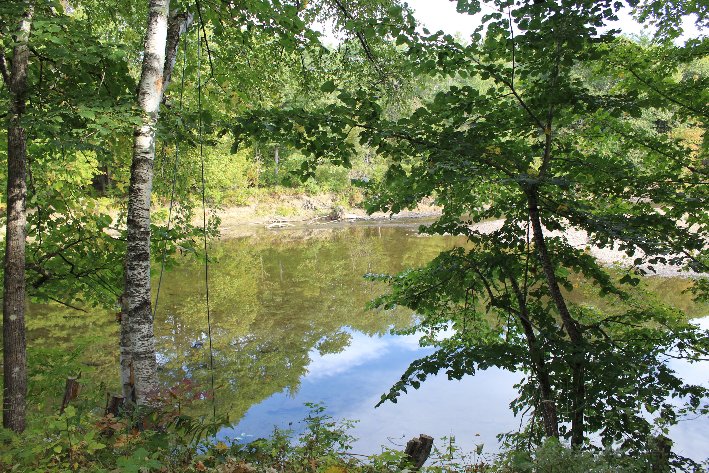 167 ''camp'' Town Farm Road Property Photo 31