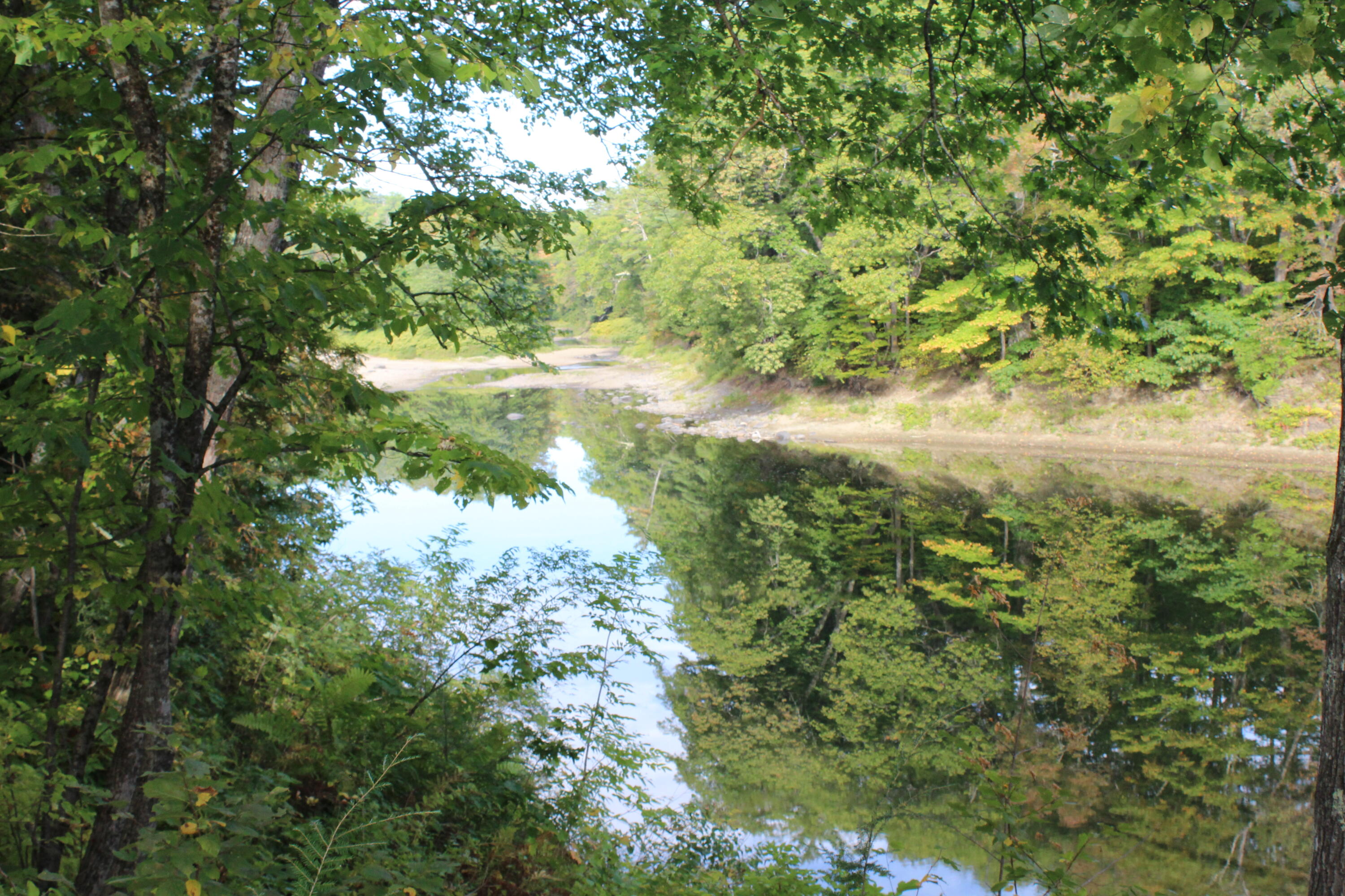 167 ''camp'' Town Farm Road Property Photo 32