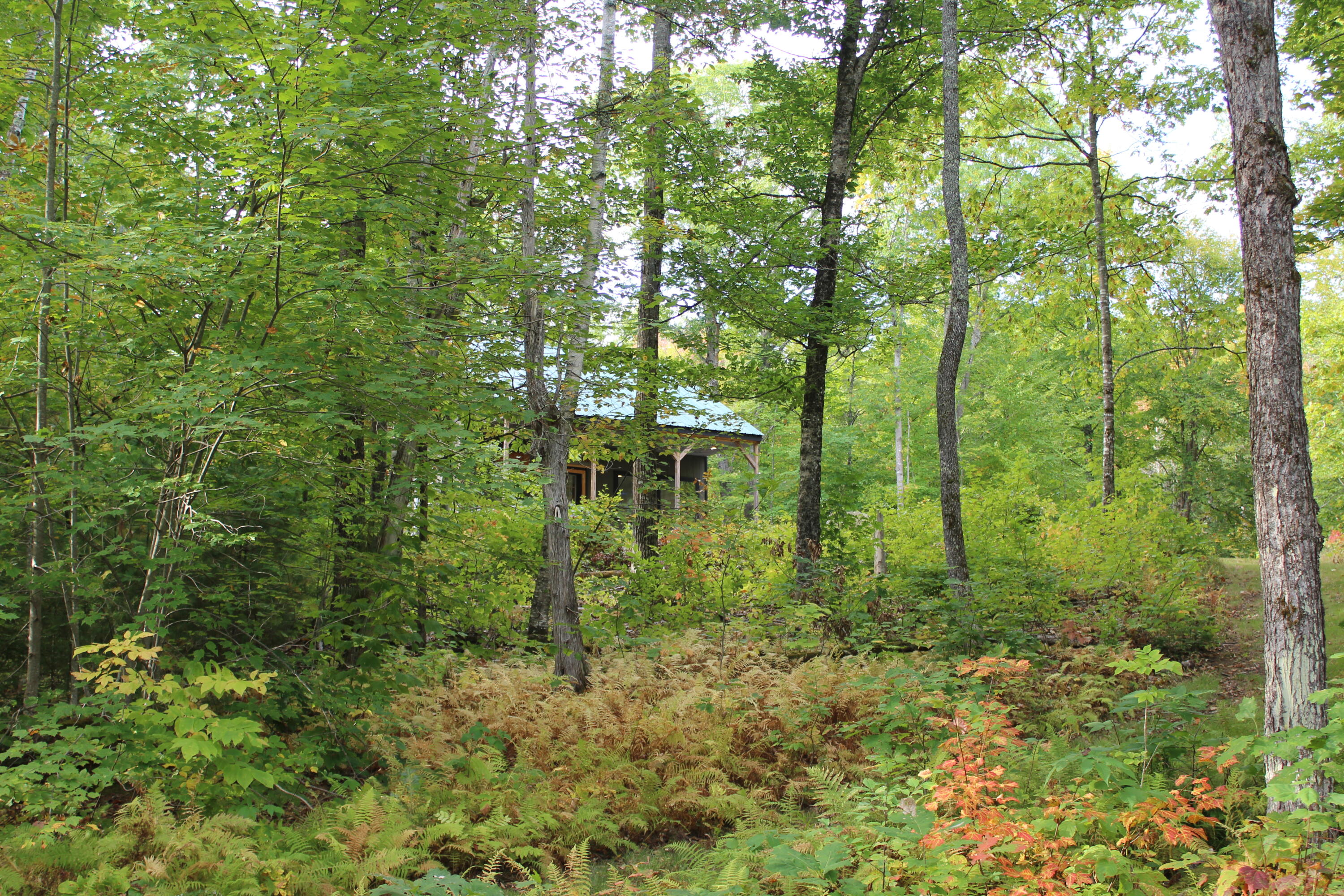 167 ''camp'' Town Farm Road Property Photo 33